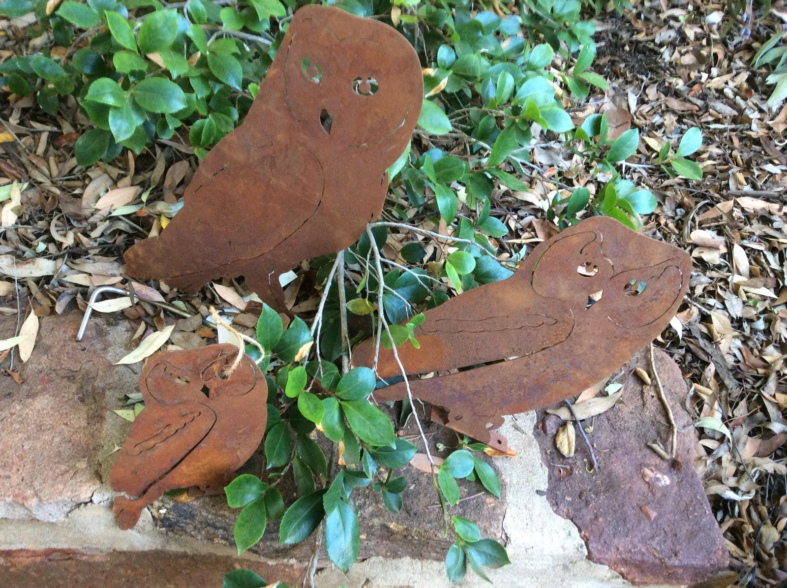  23-12-17-5153.undefined