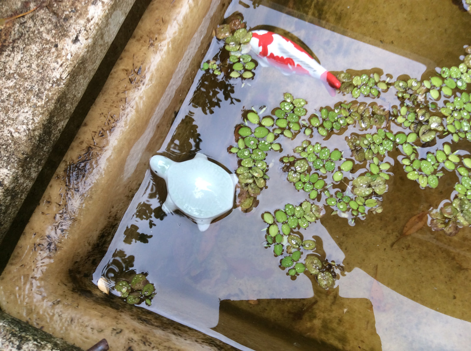  13-1-18-1400.undefined