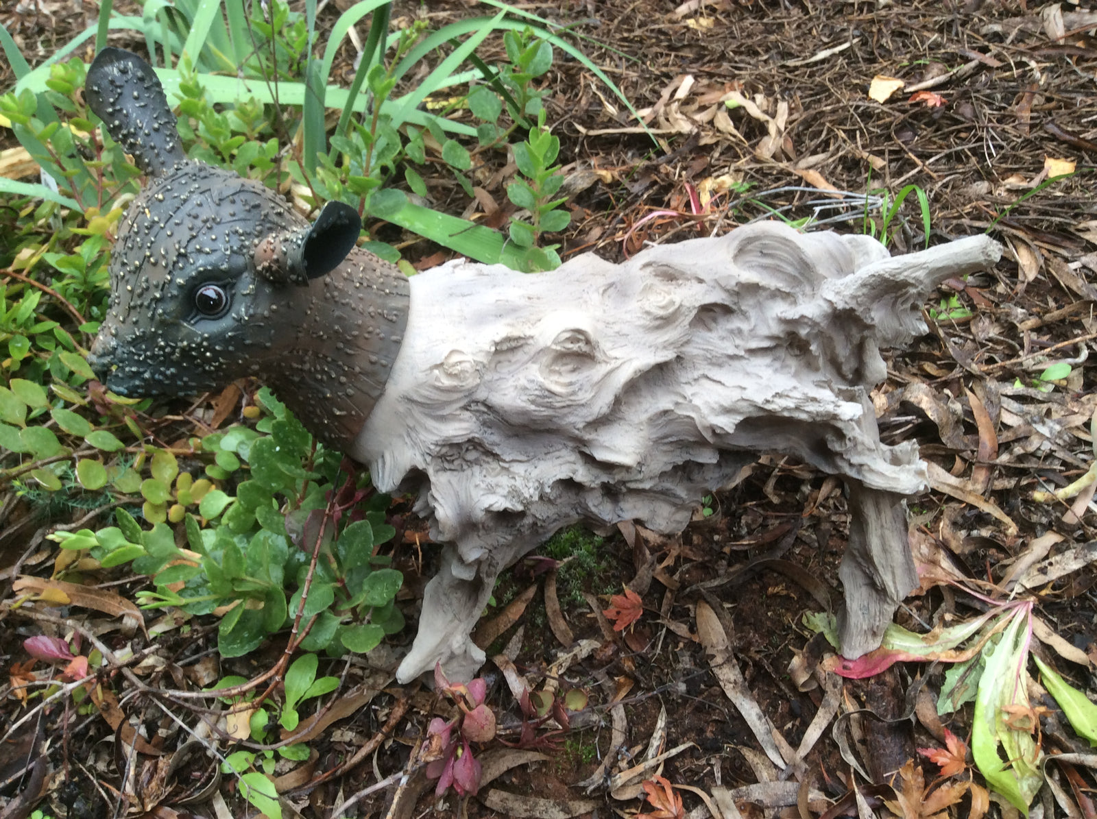  08-6-18-3031.undefined