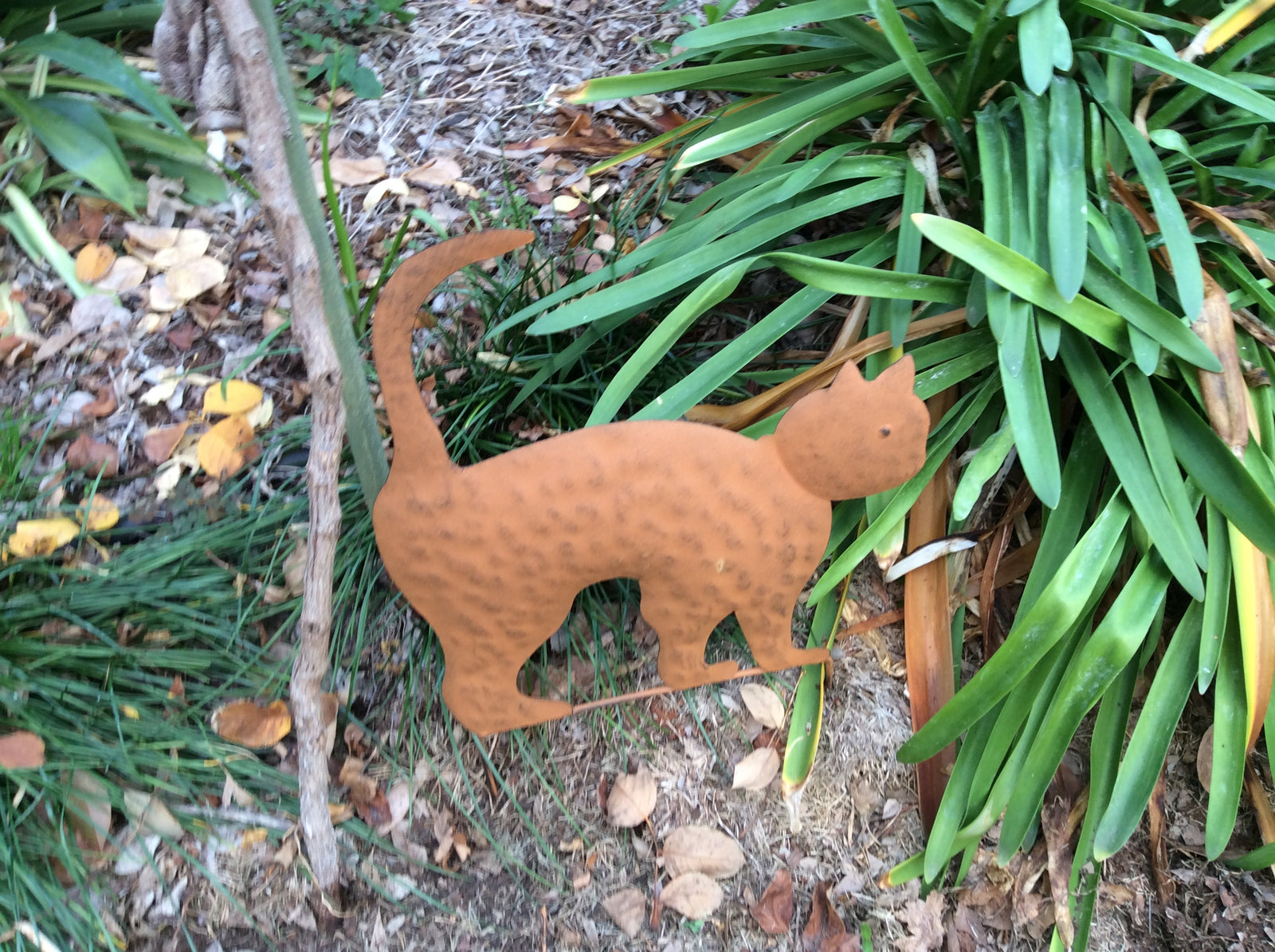  23-6-17-4244.undefined