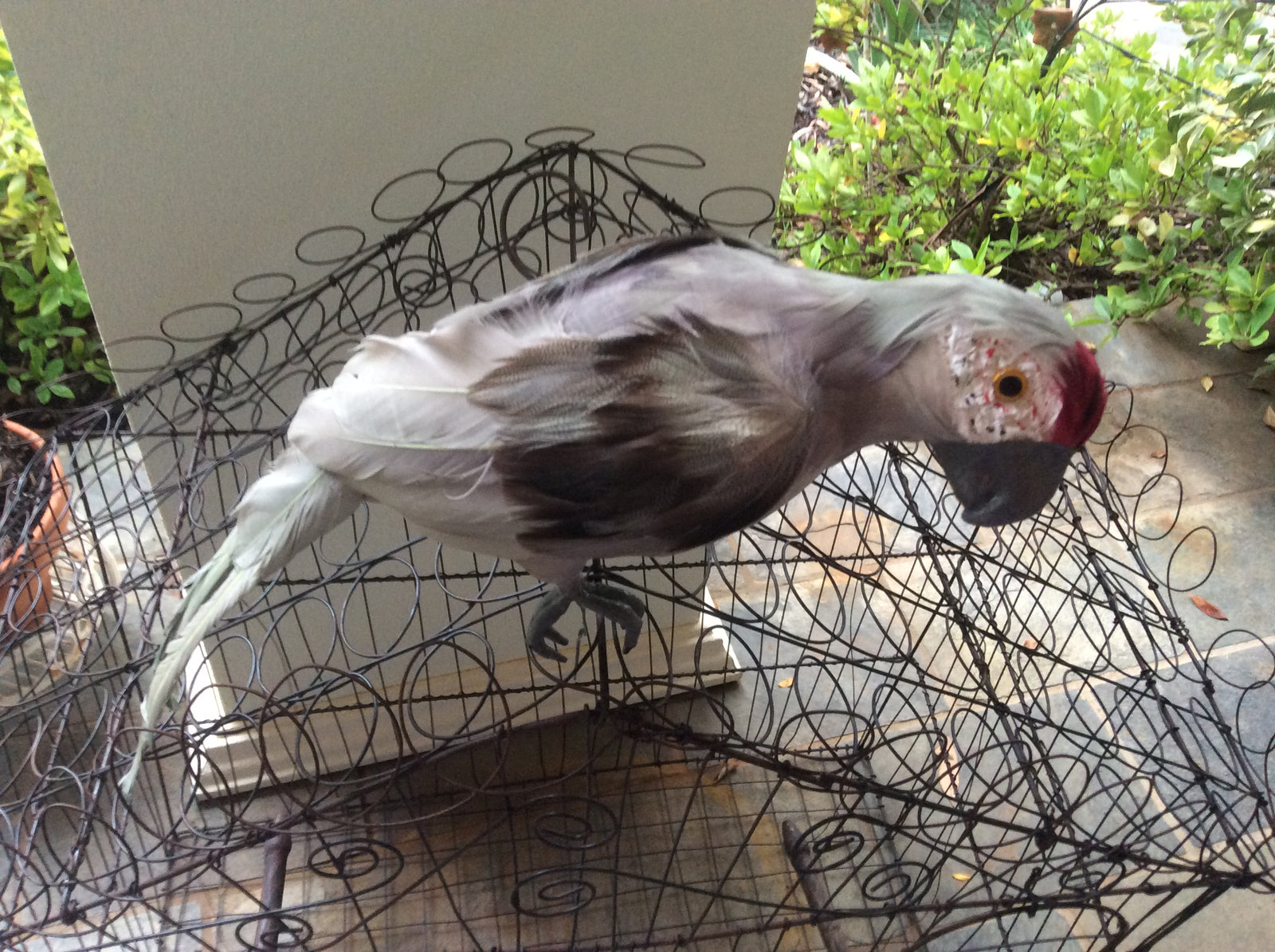  18-5-18-1720.undefined