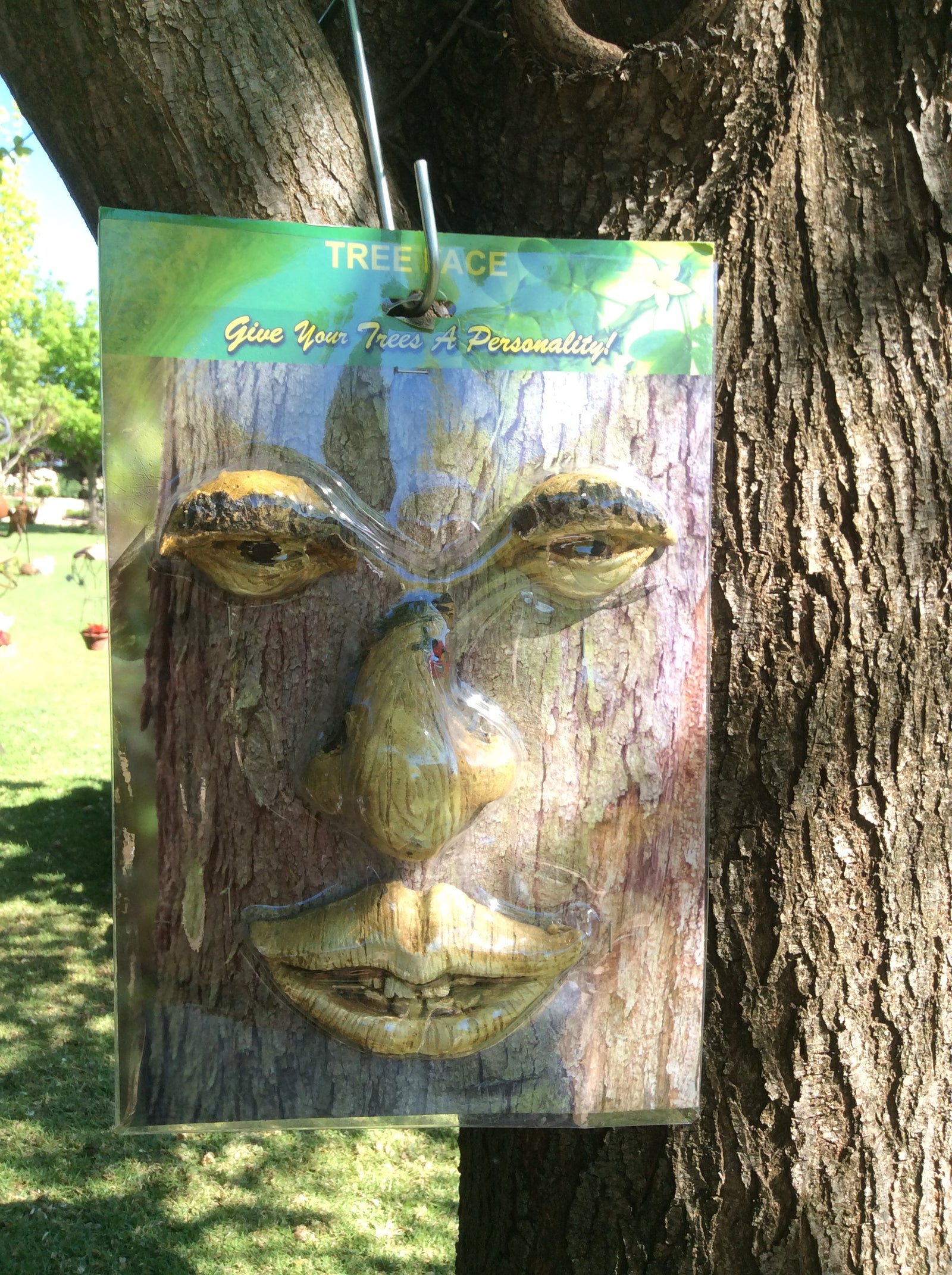  16-10-17-1544.undefined