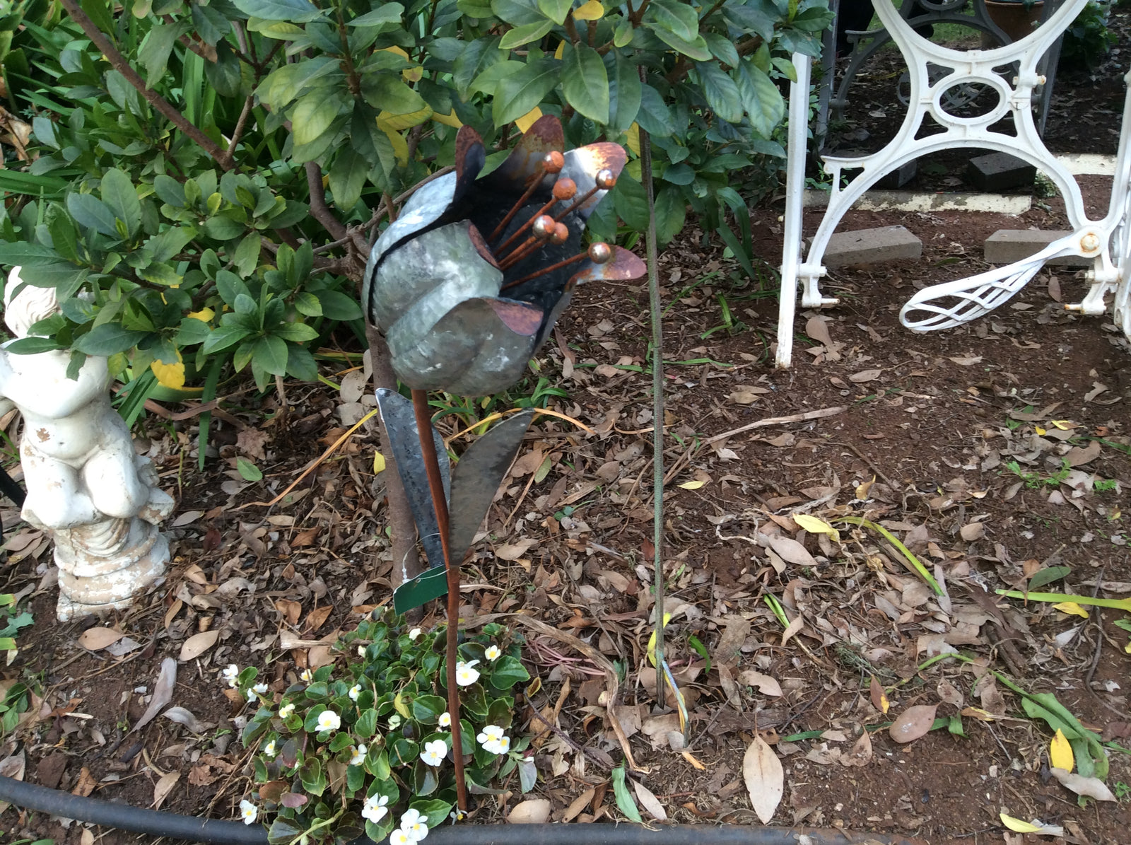  23-6-17-4459.undefined