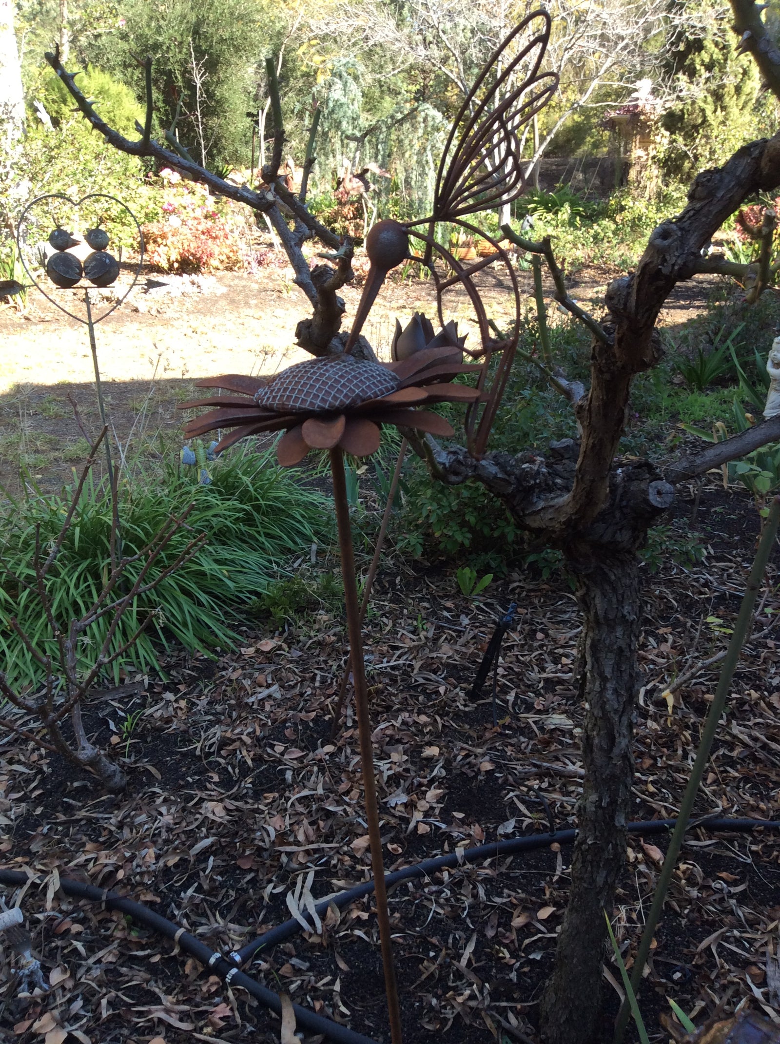  25-8-18-5950.undefined