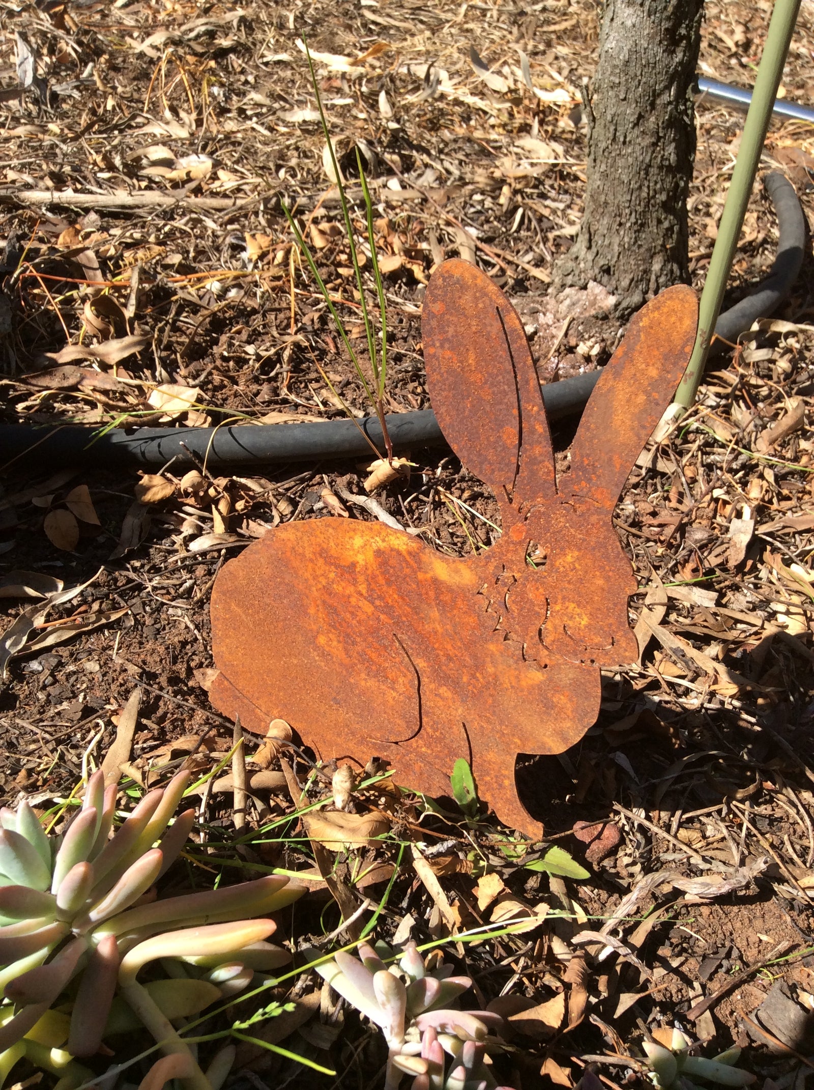  25-8-18-3923.undefined