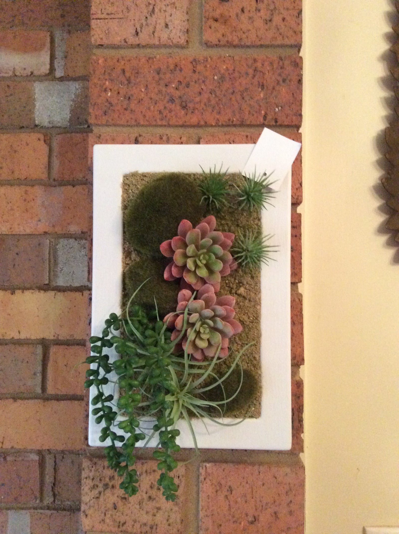  16-6-17-2353.undefined