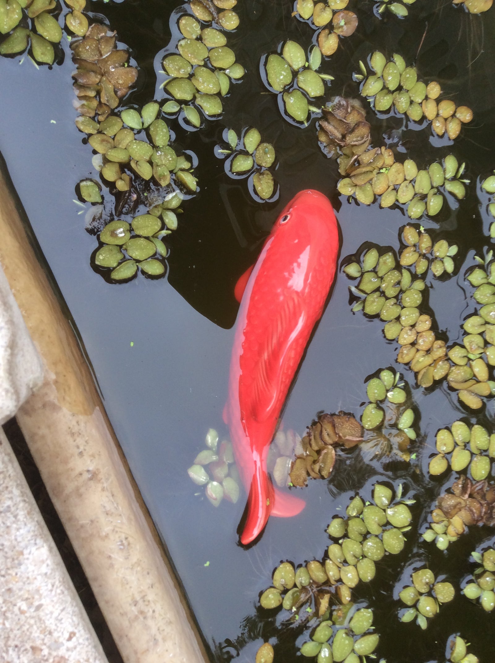  08-6-18-3313.undefined