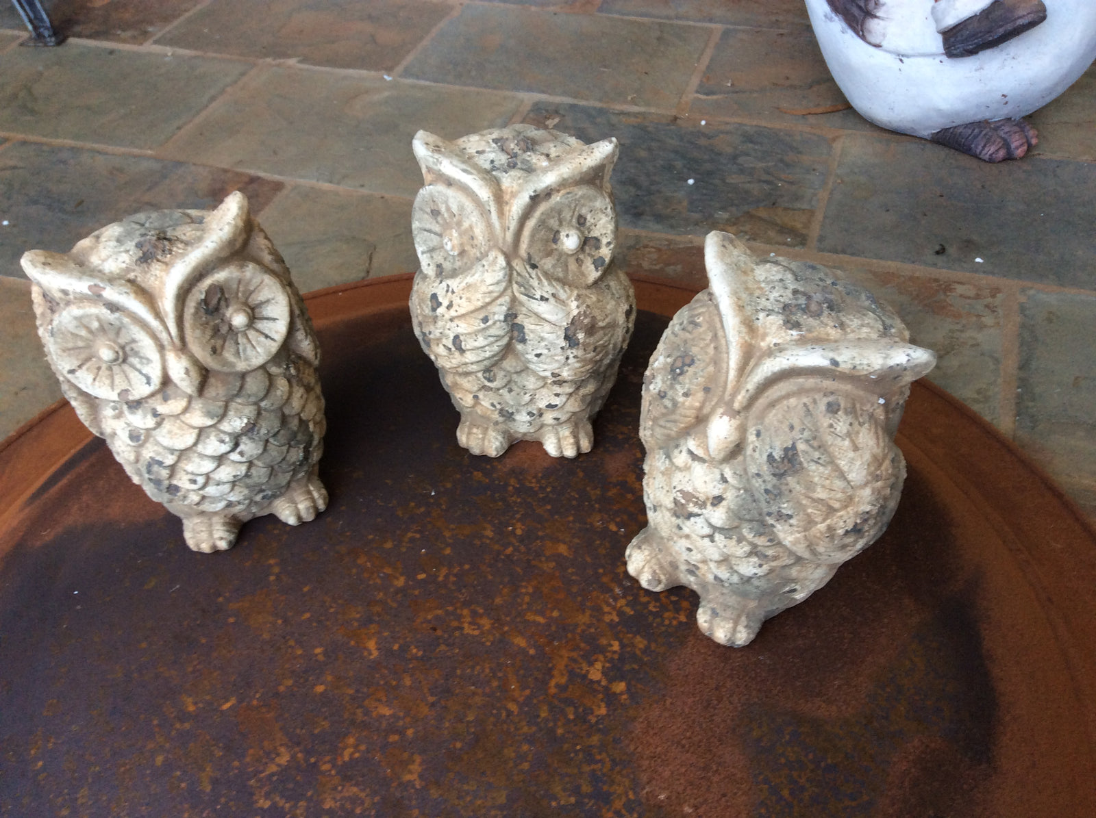  17-8-17-5159.undefined