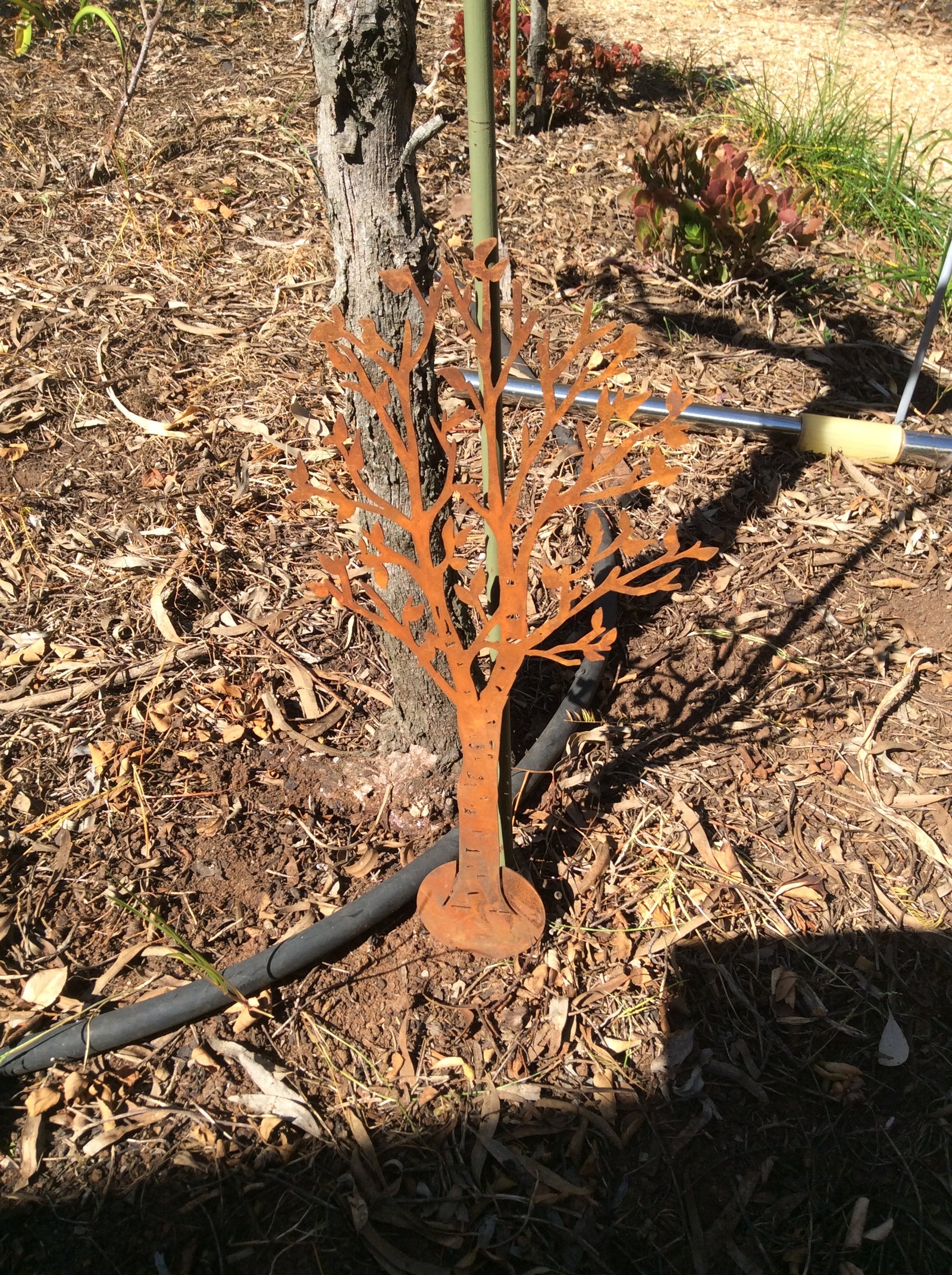  25-8-18-1535.undefined