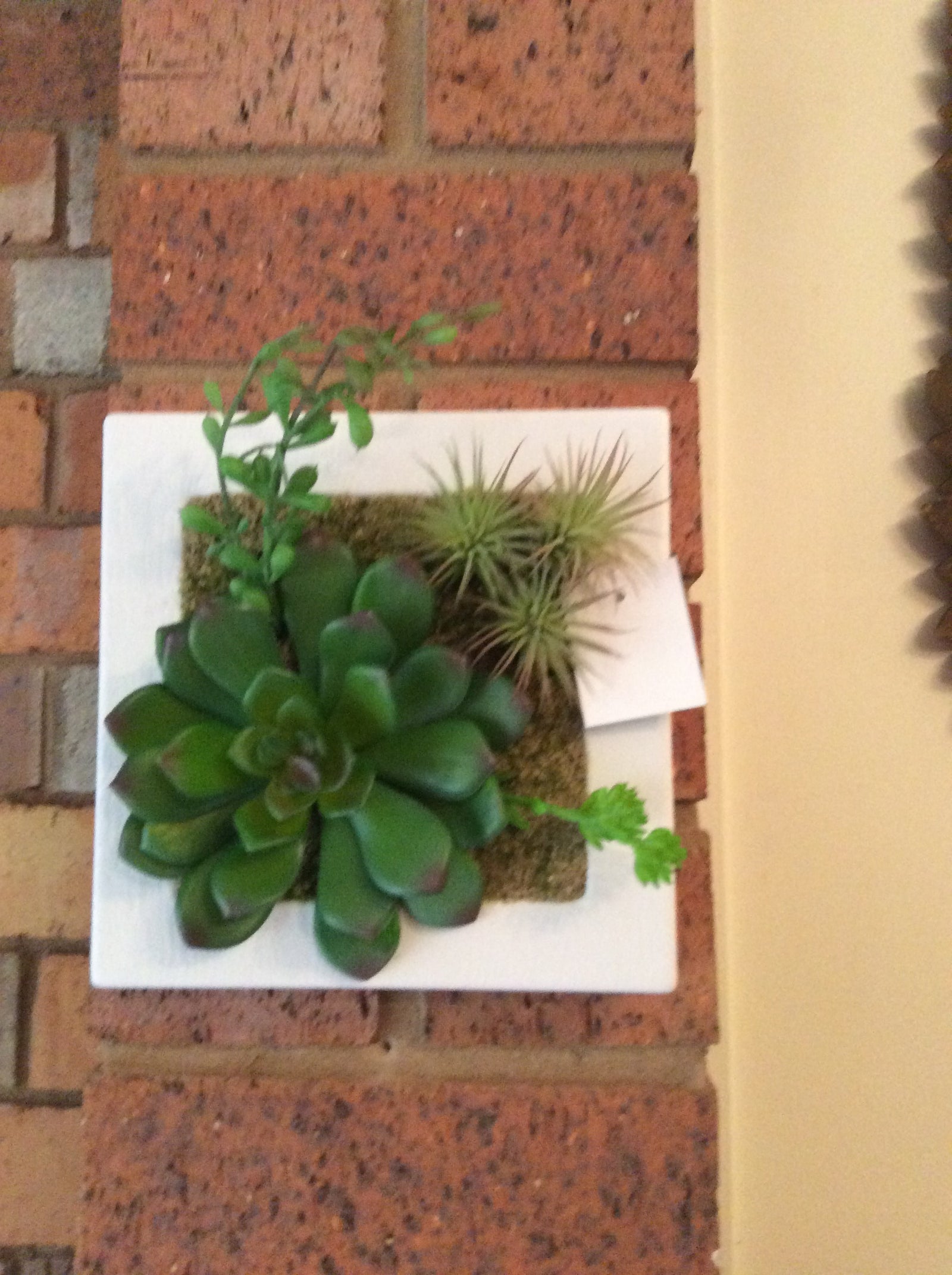  16-6-17-4458.undefined