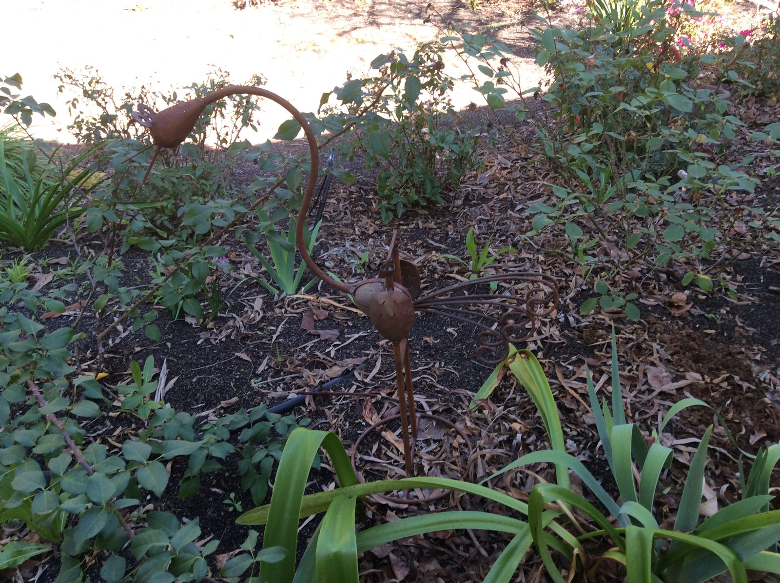  25-8-18-4142.undefined