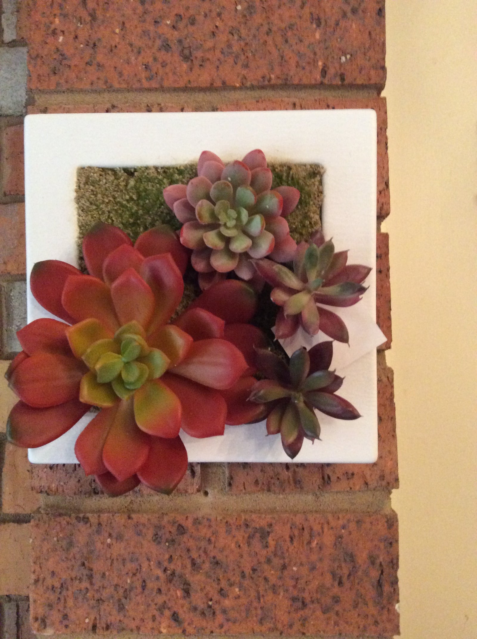  16-6-17-3513.undefined