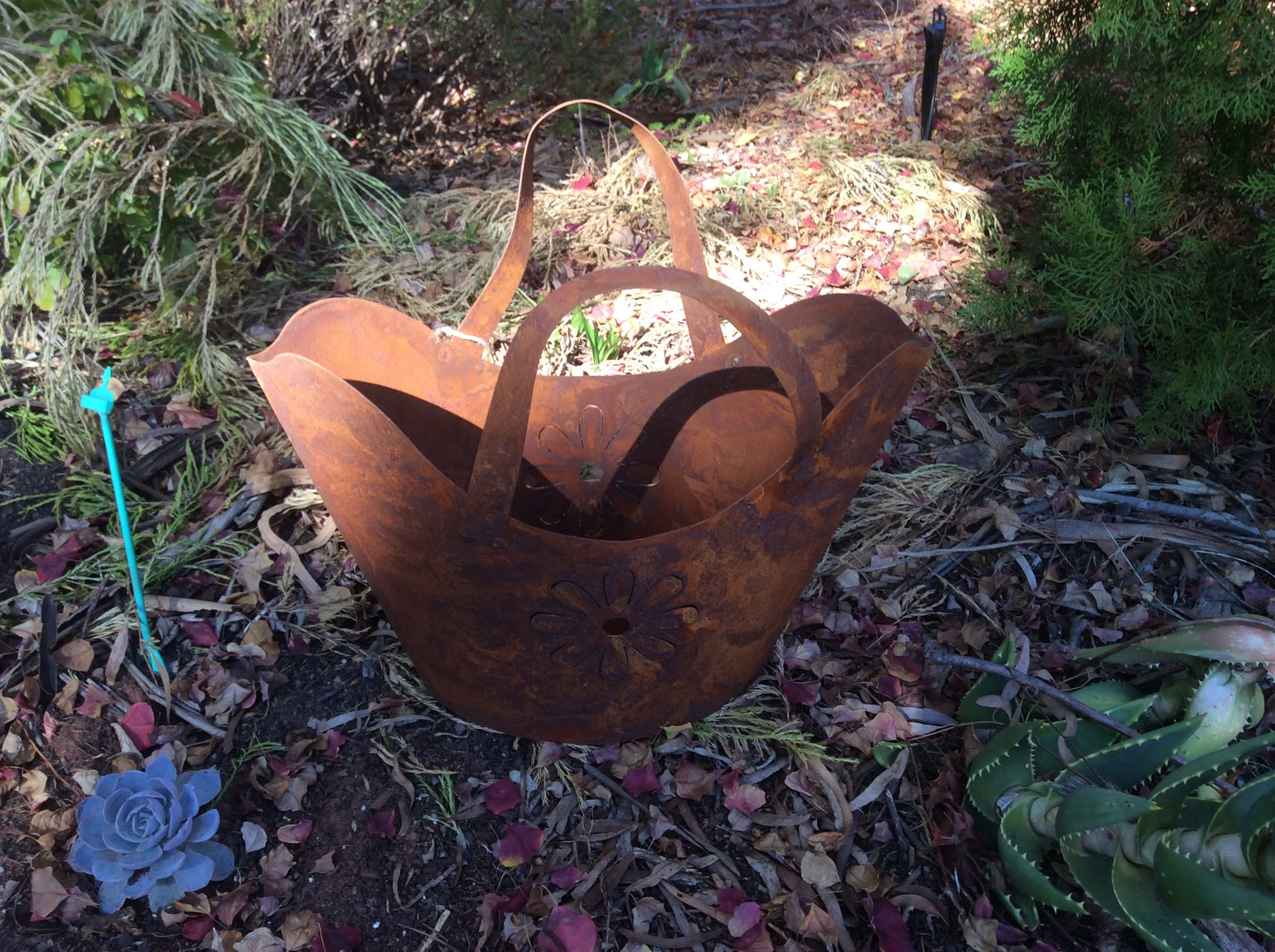  02-6-17-0530.undefined