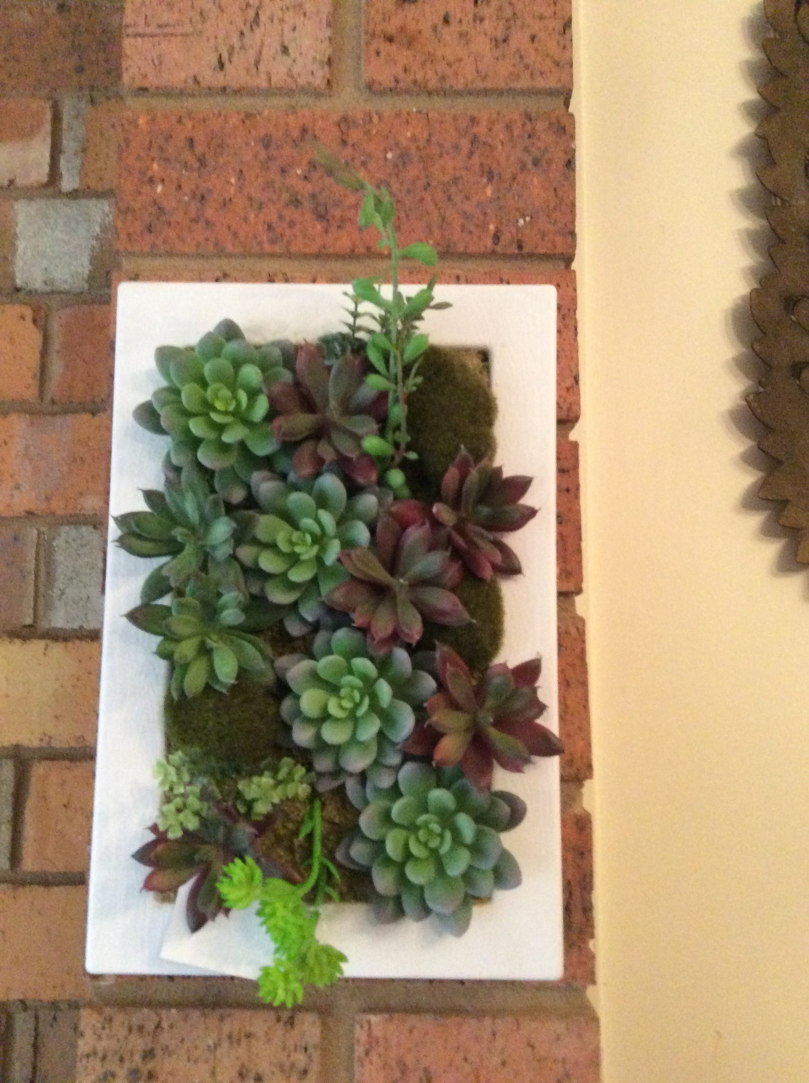  16-6-17-4030.undefined