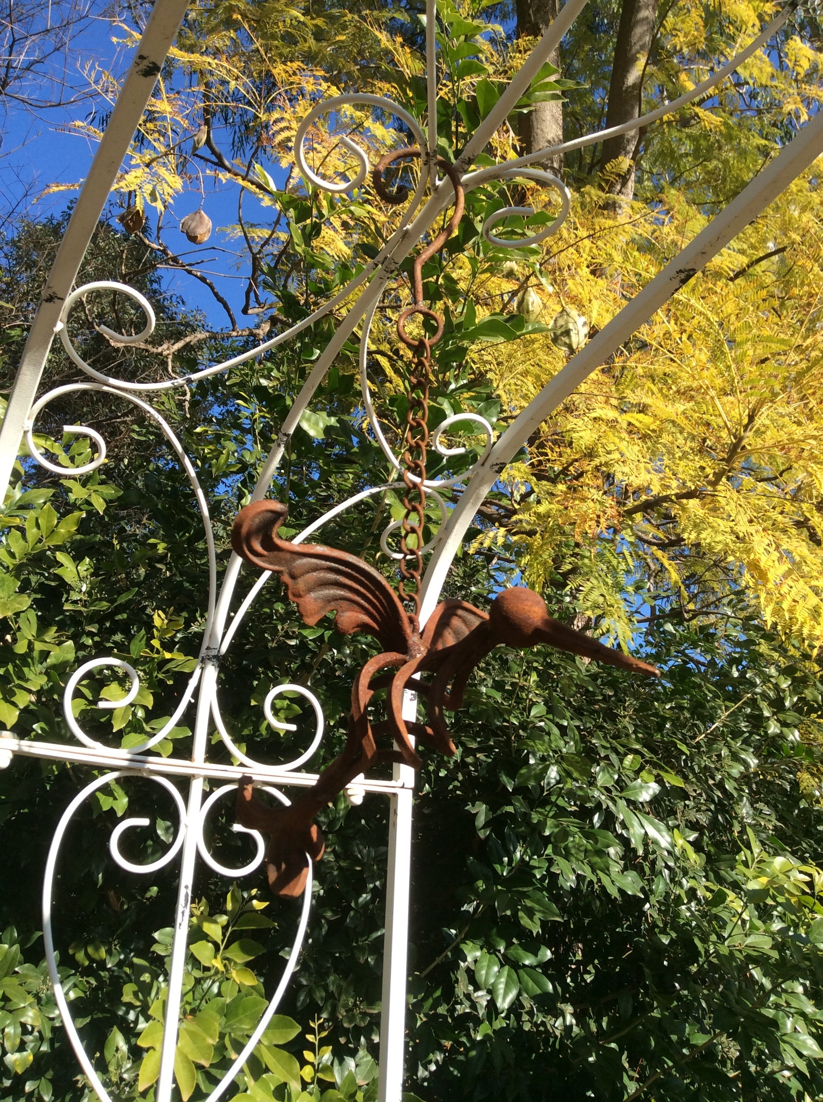  25-8-18-0740.undefined