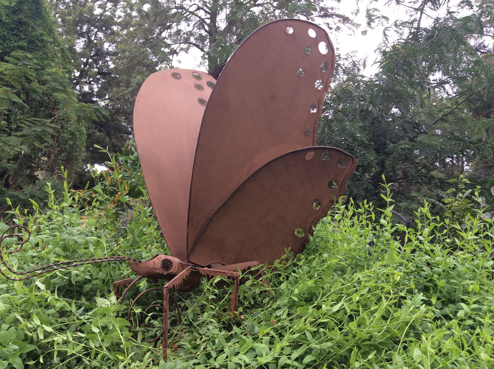  08-2-19-4557.undefined