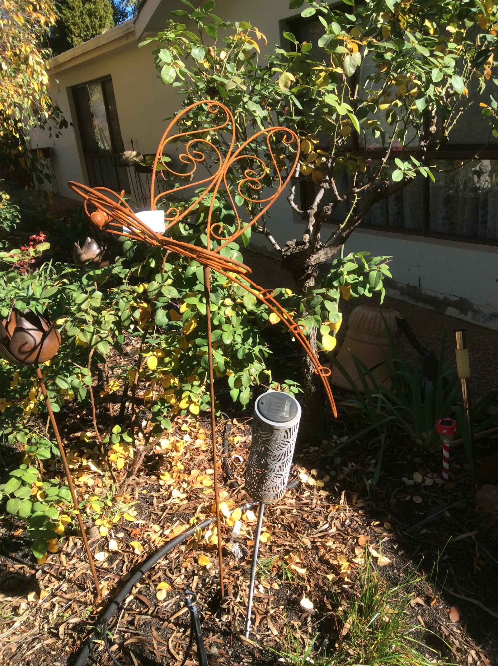  11-6-18-5627.undefined