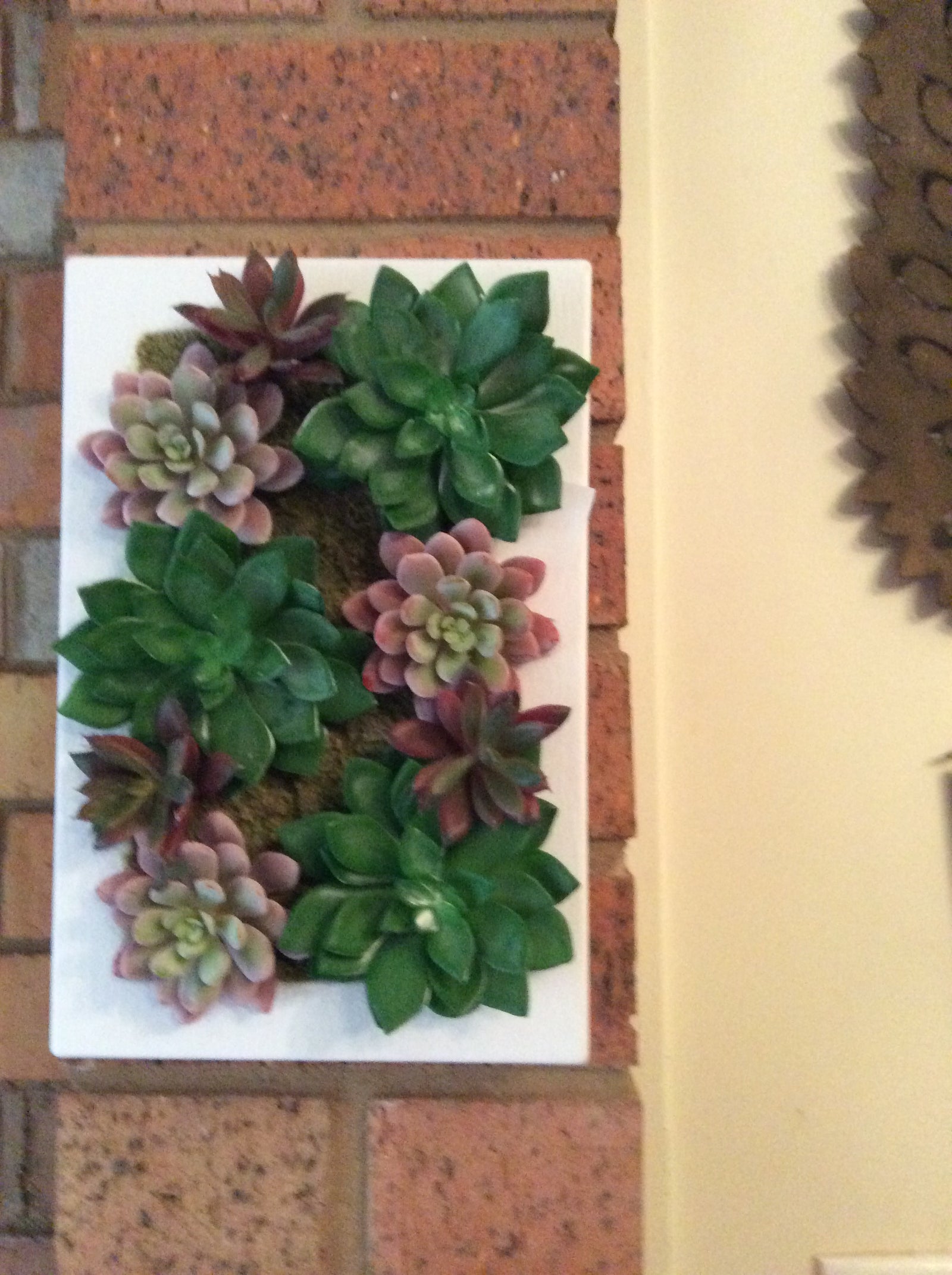  16-6-17-2903.undefined