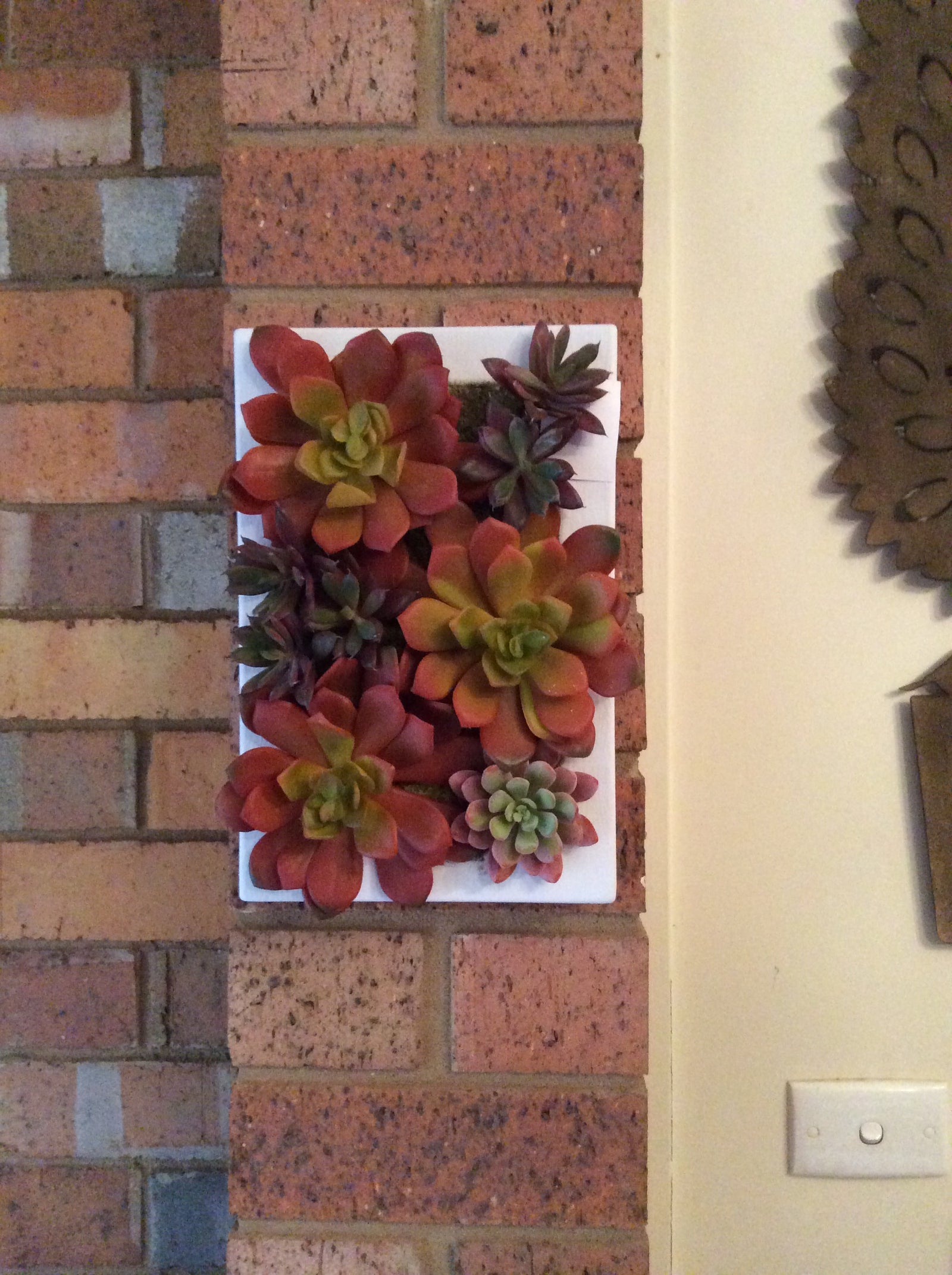  16-6-17-1410.undefined