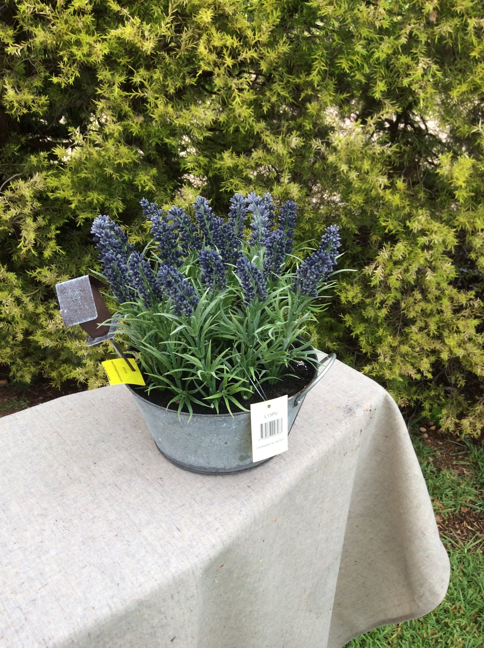  Photo 17-10-2016, 9 43 19 AM.jpg