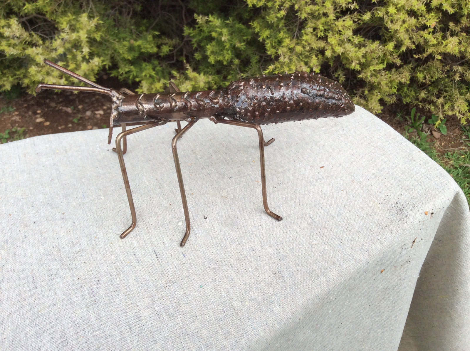  Photo 17-10-2016, 12 29 44 PM.jpg