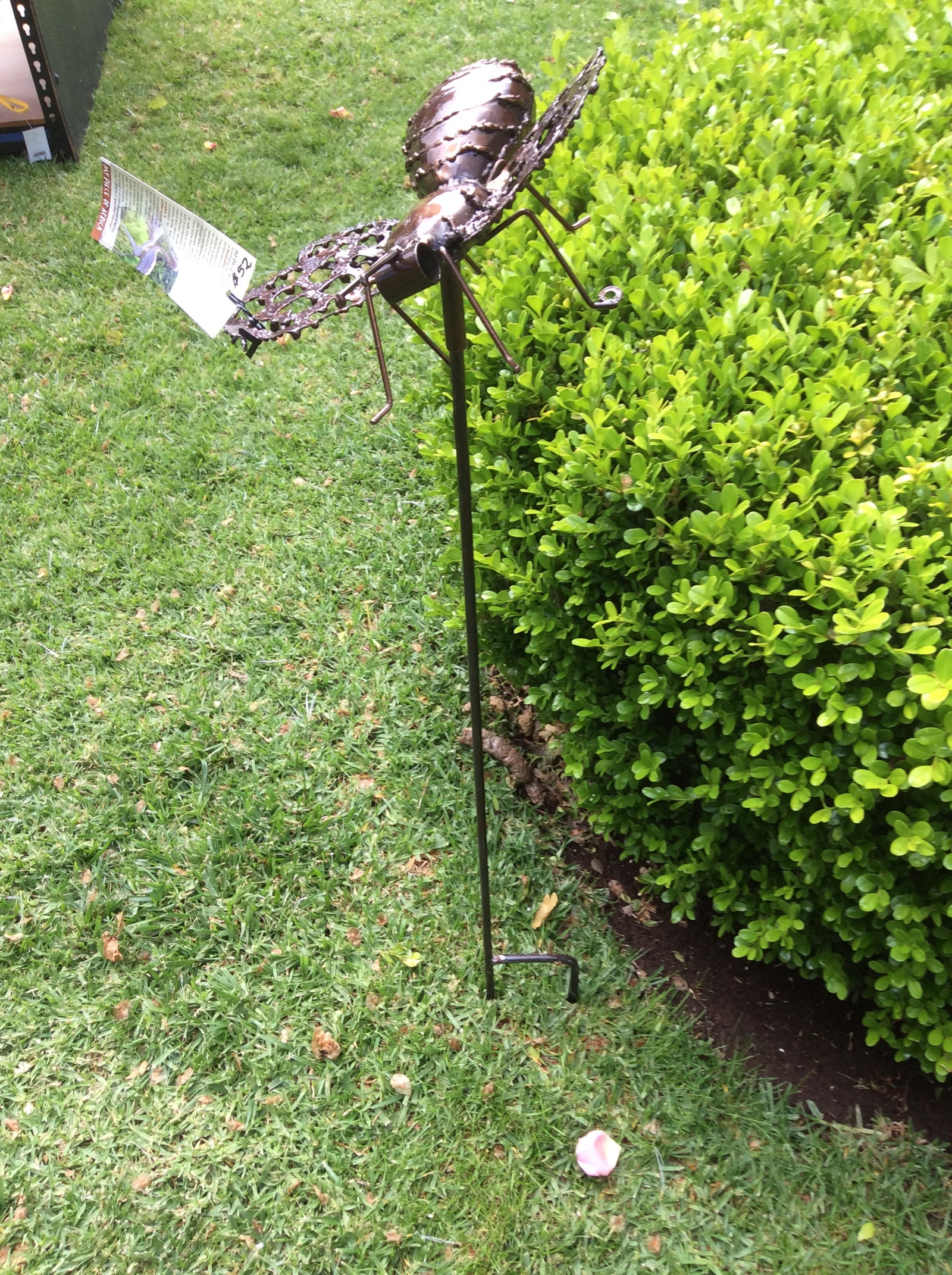  Photo 17-10-2016, 12 30 36 PM.jpg