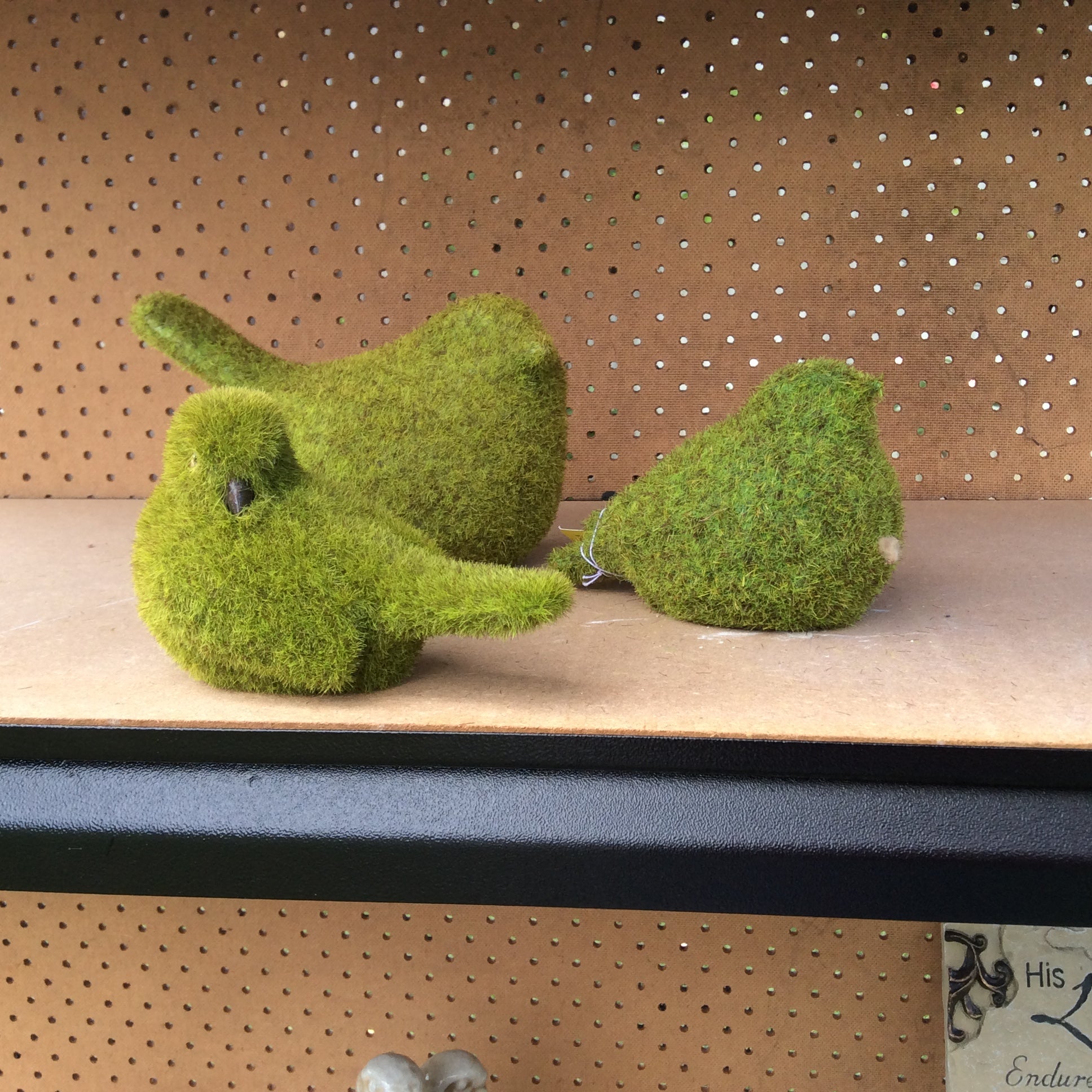  Photo 17-10-2016, 12 45 12 PM.jpg