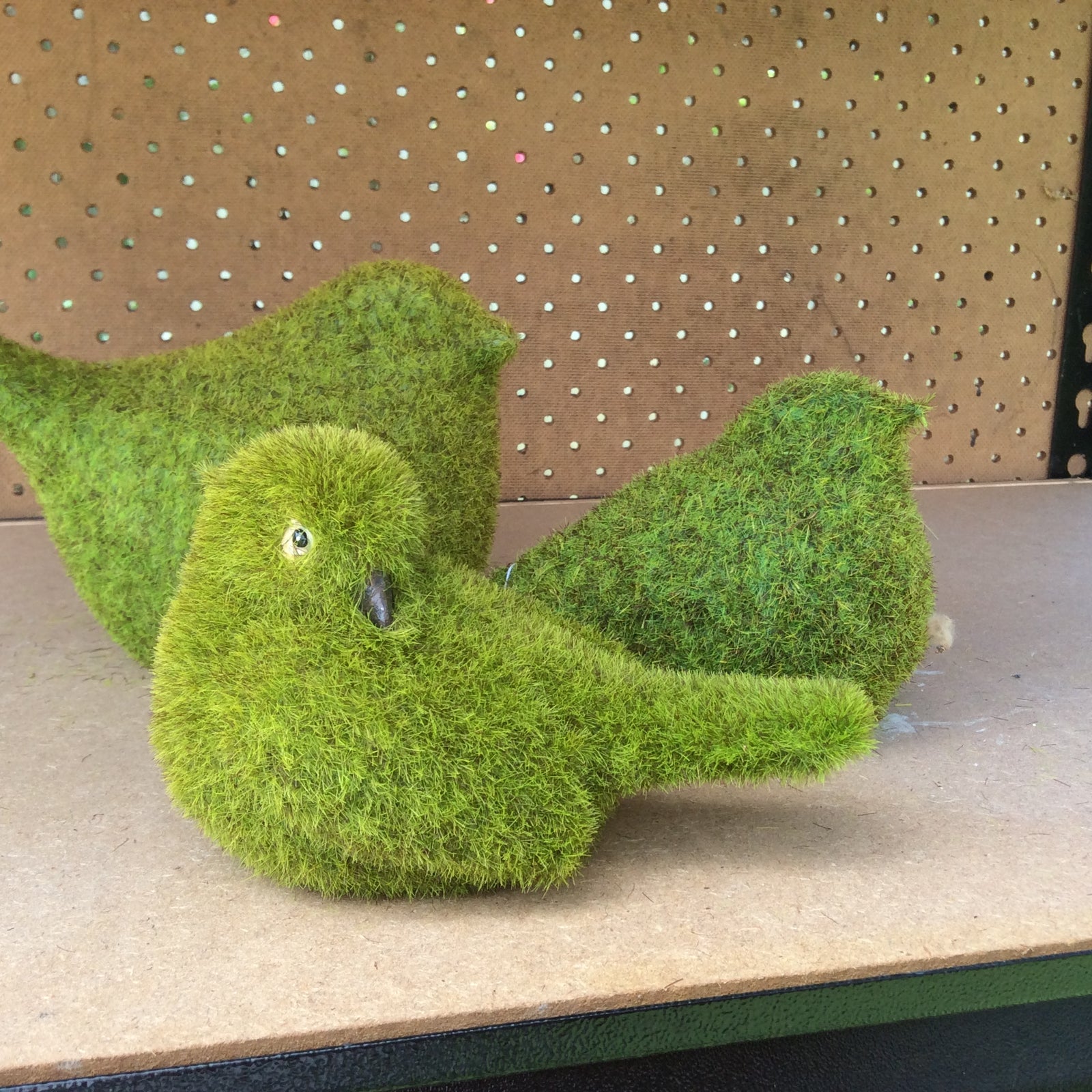  Photo 17-10-2016, 12 44 37 PM.jpg