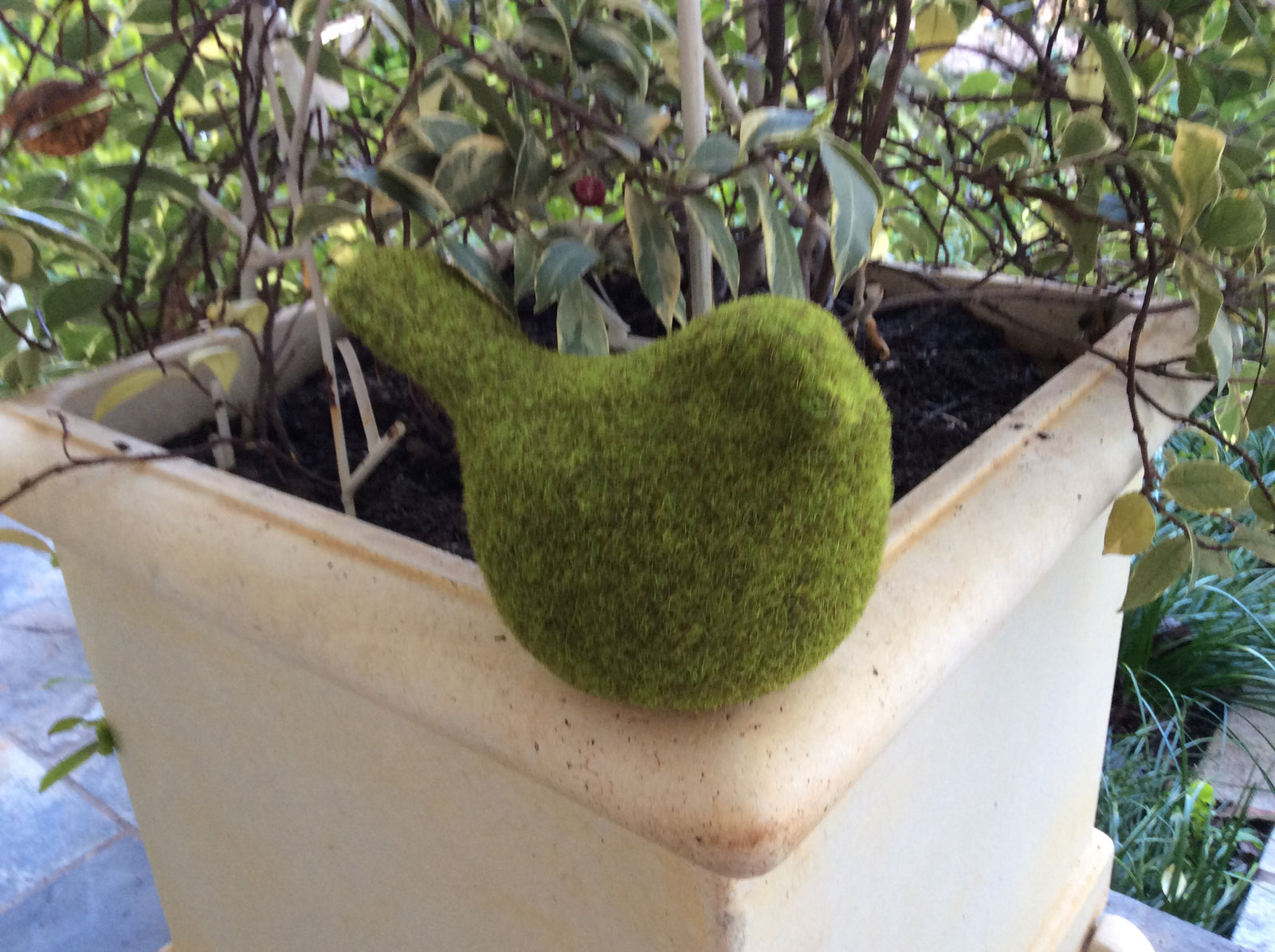  Photo 24-09-2016, 7 52 05 AM.jpg