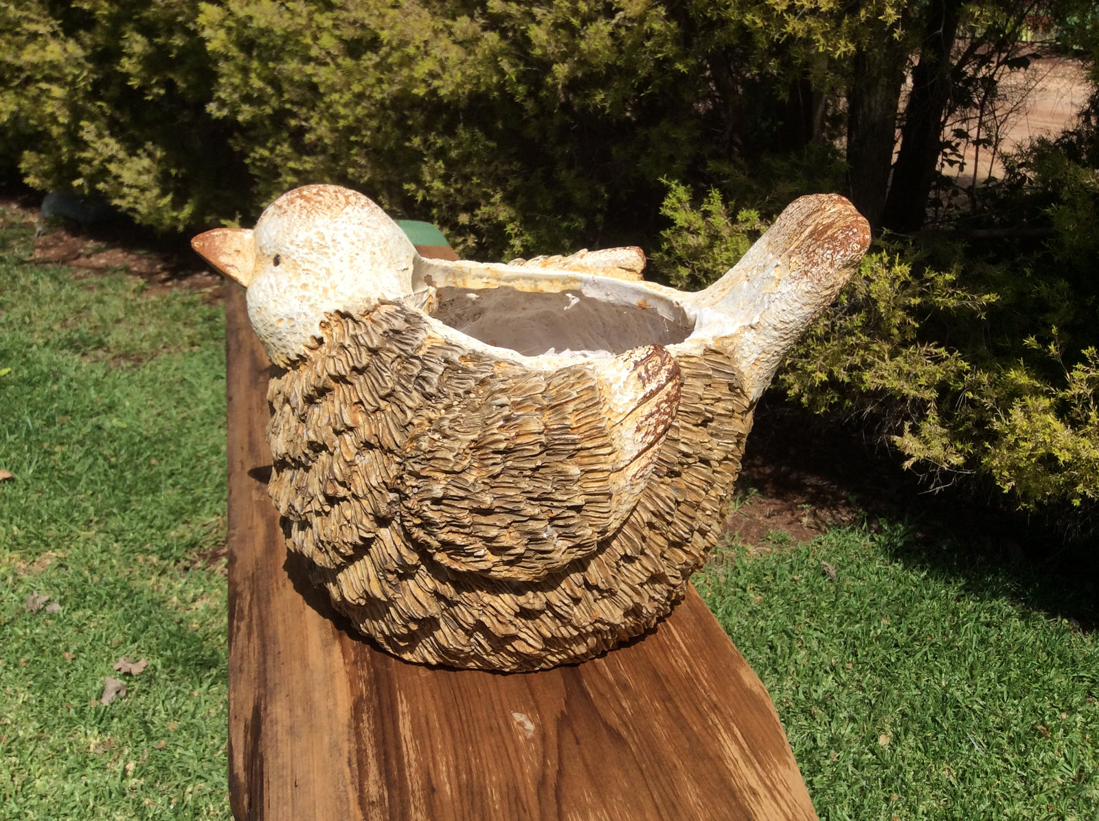  Photo 17-10-2016, 2 31 48 PM.jpg