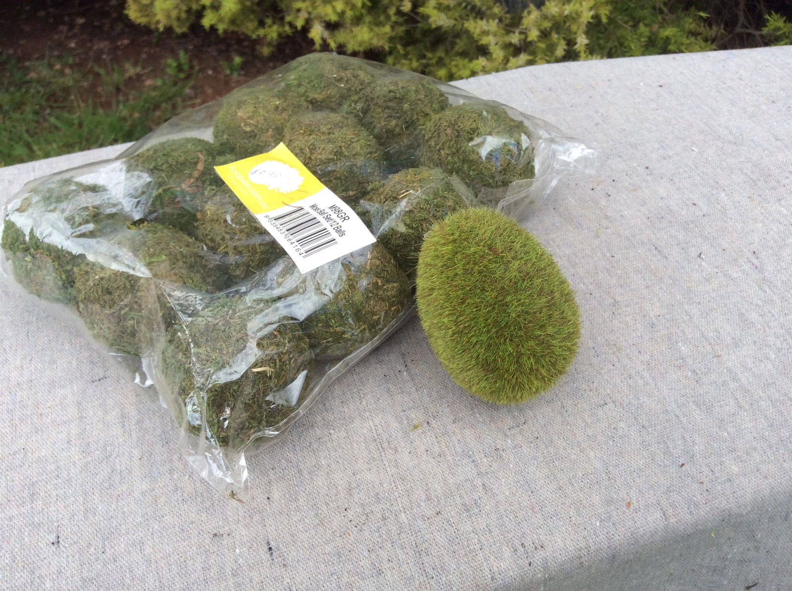  Photo 17-10-2016, 11 50 28 AM.jpg