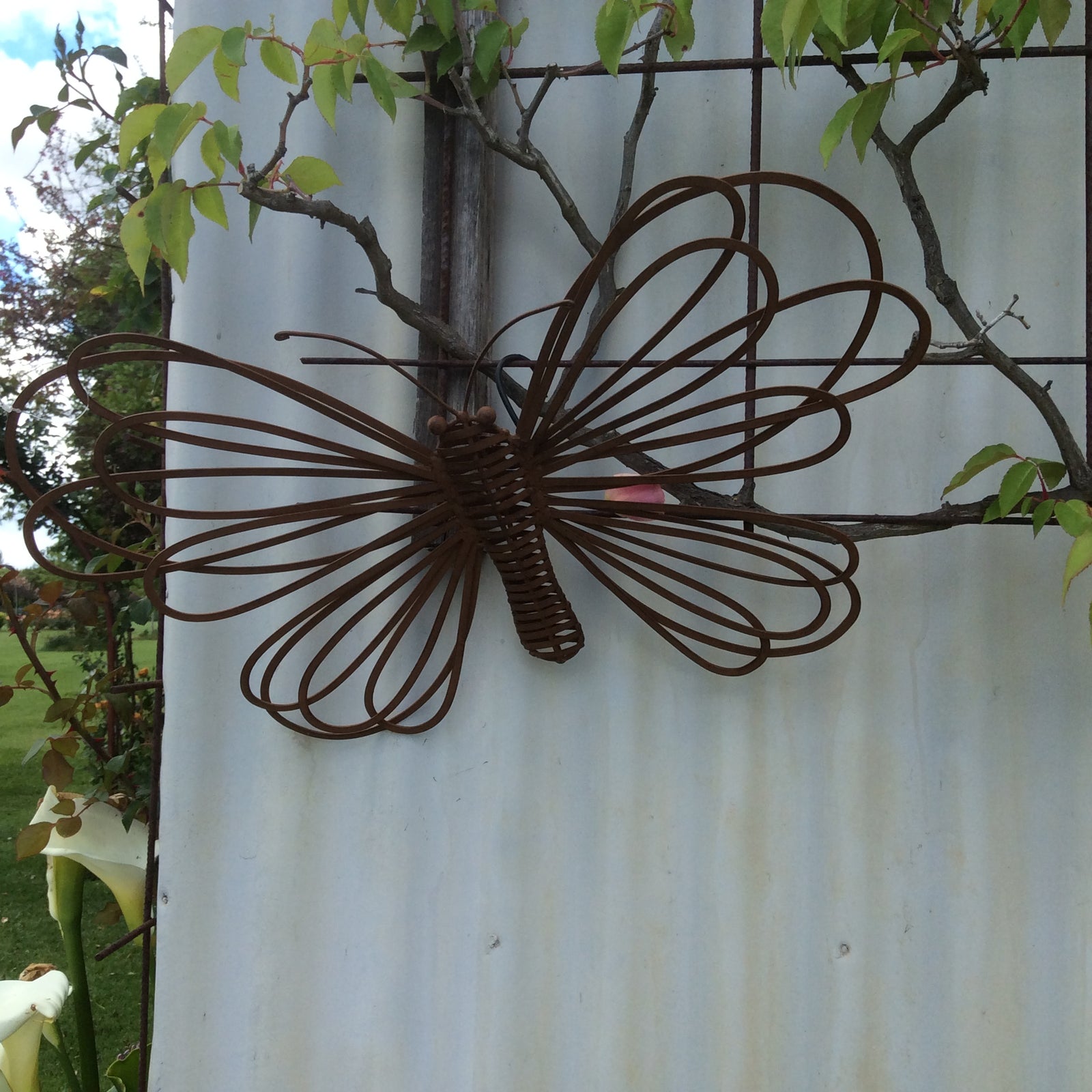  Photo 17-10-2016, 12 56 06 PM.jpg