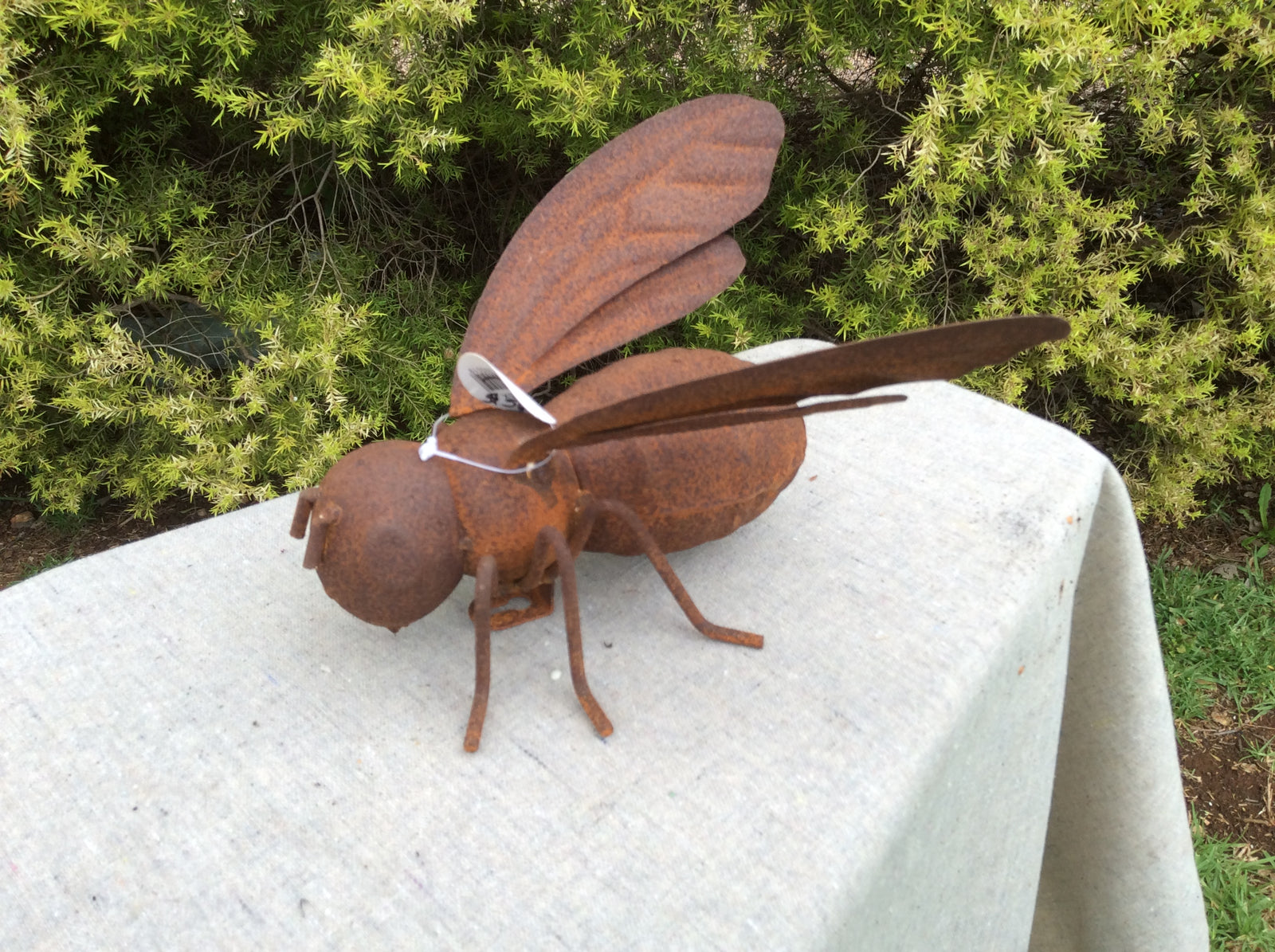  Photo 17-10-2016, 11 38 45 AM.jpg