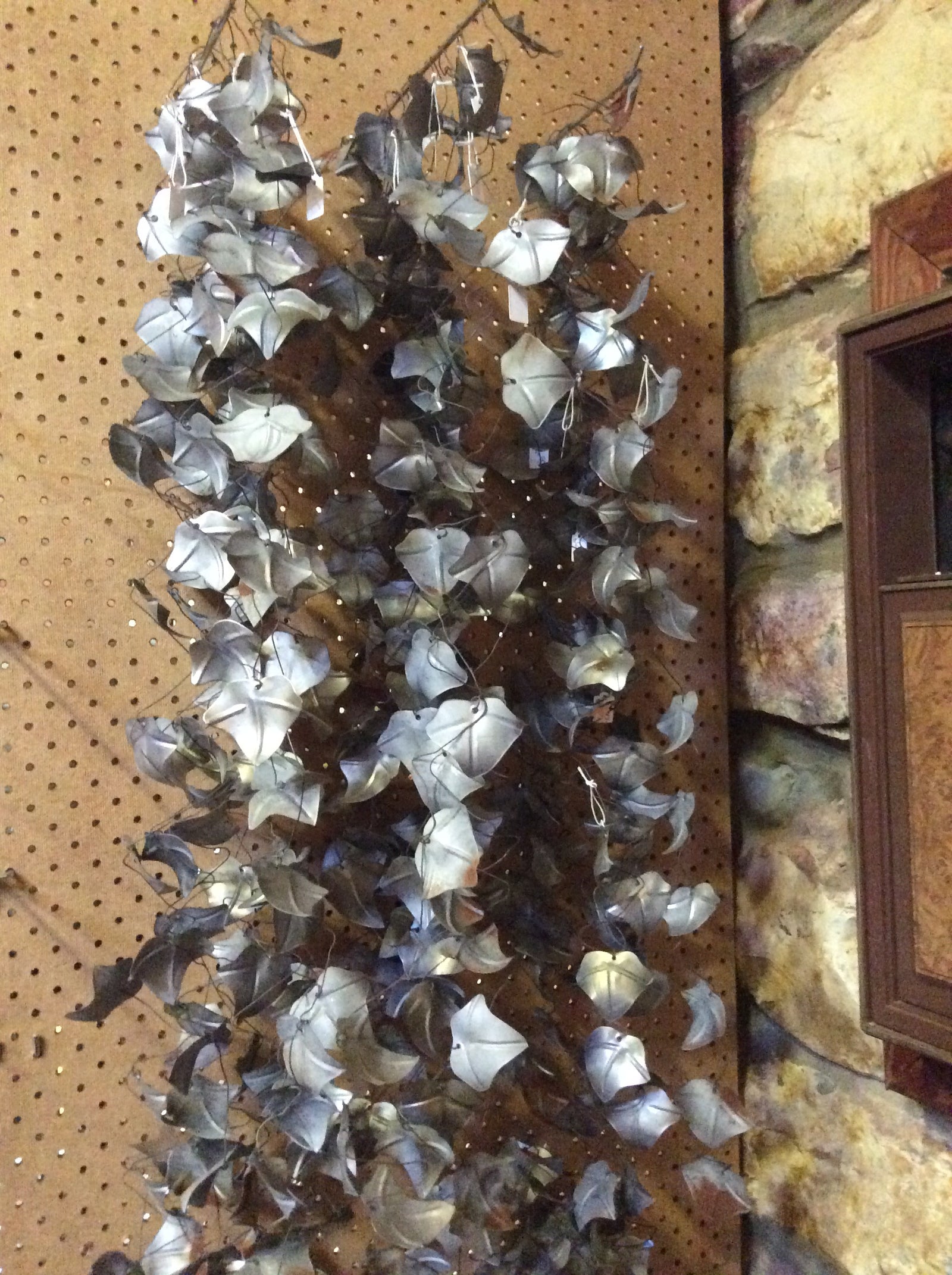  Photo 8-10-2016, 2 20 34 PM.jpg