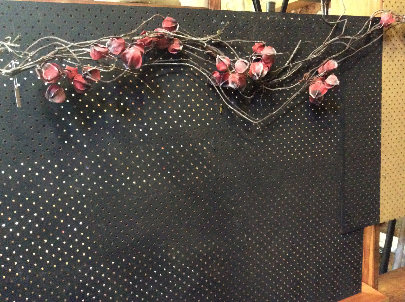  Photo 8-10-2016, 4 22 32 PM.jpg