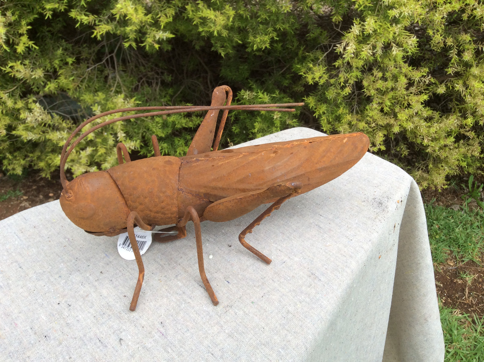  Photo 17-10-2016, 11 38 54 AM.jpg