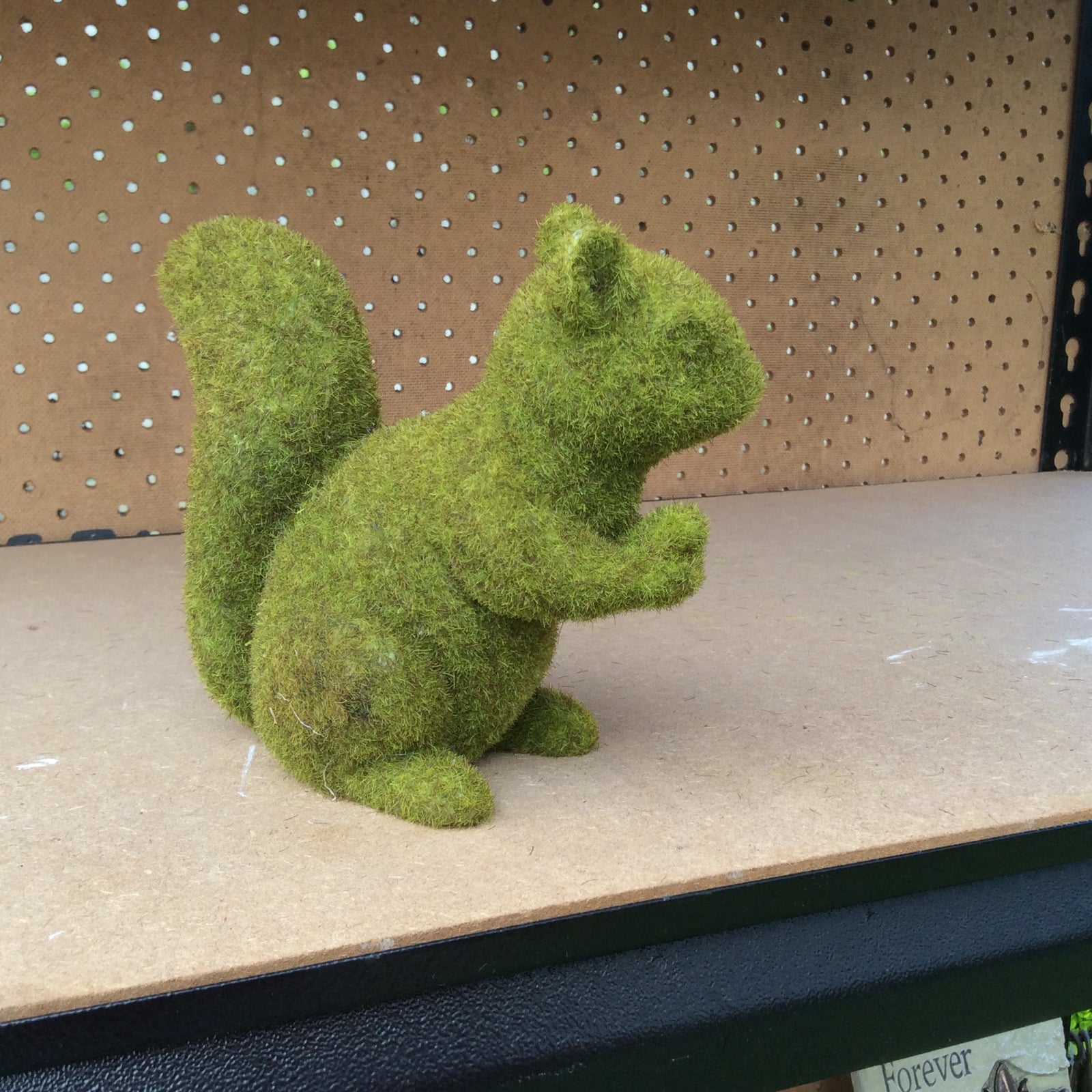  Photo 17-10-2016, 12 45 47 PM.jpg