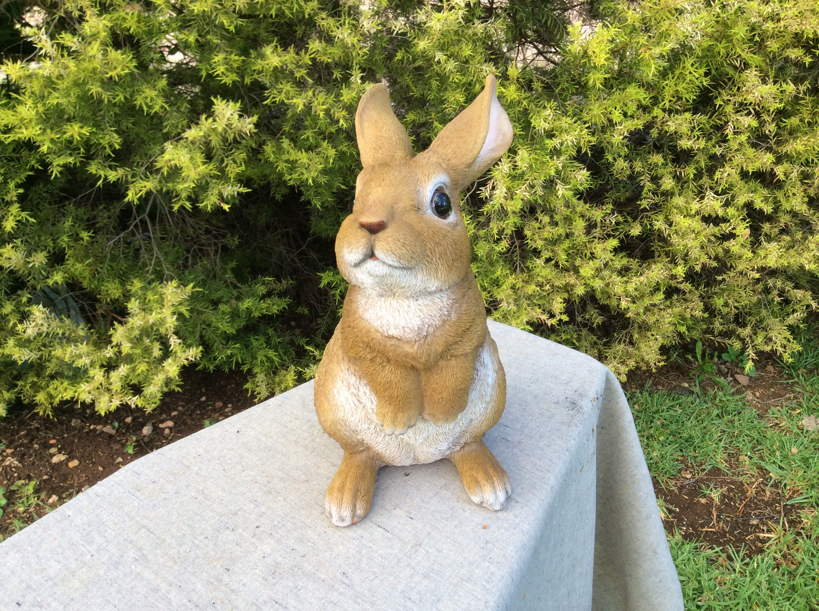  Photo 17-10-2016, 9 50 56 AM.jpg