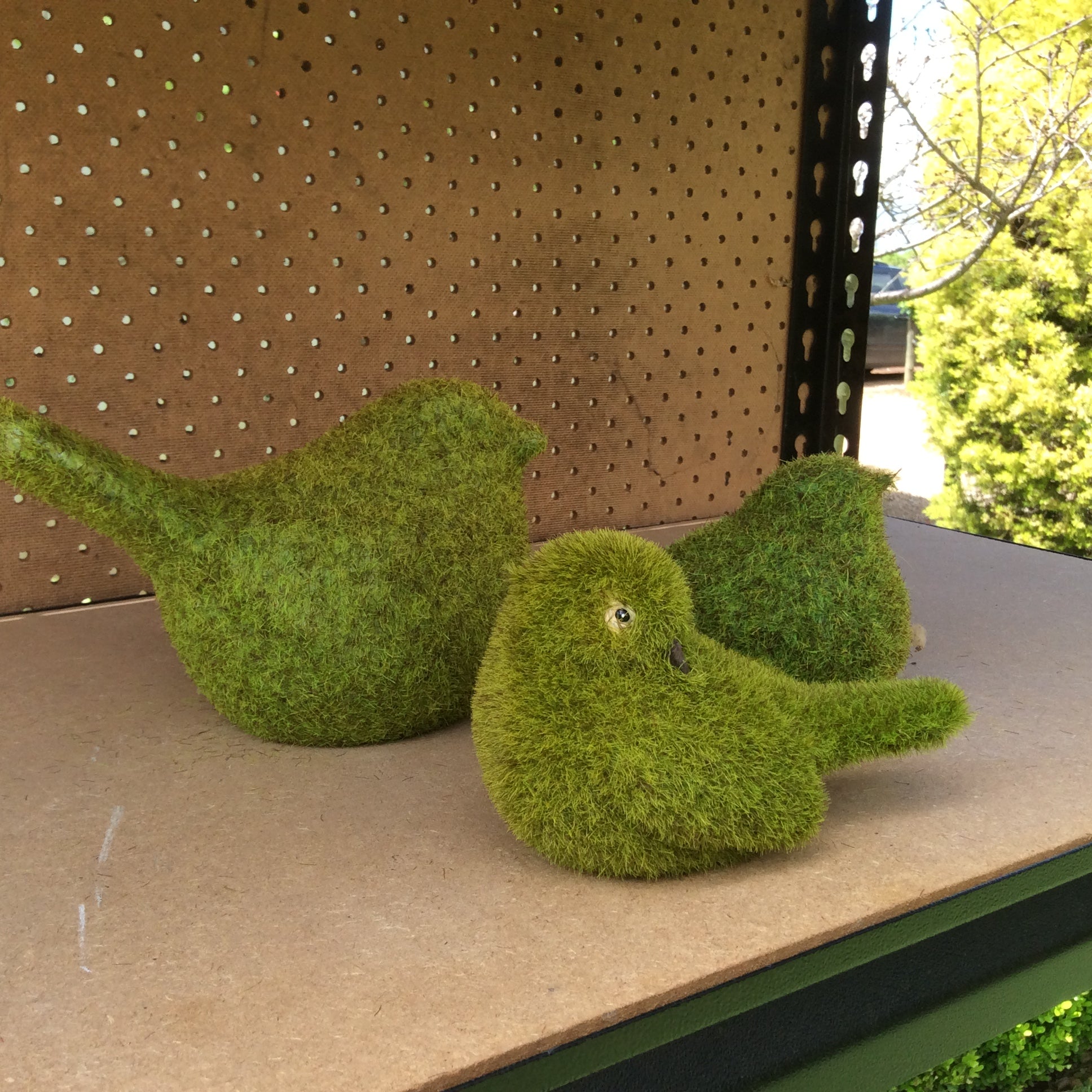  Photo 17-10-2016, 12 44 44 PM.jpg