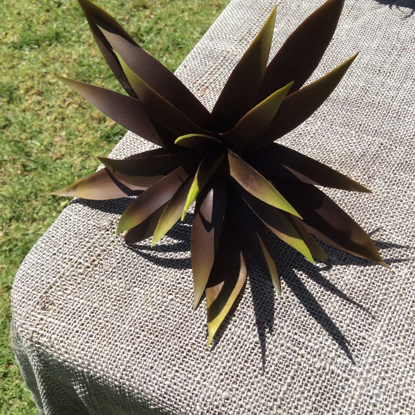  Photo 17-10-2016, 12 08 07 PM.jpg