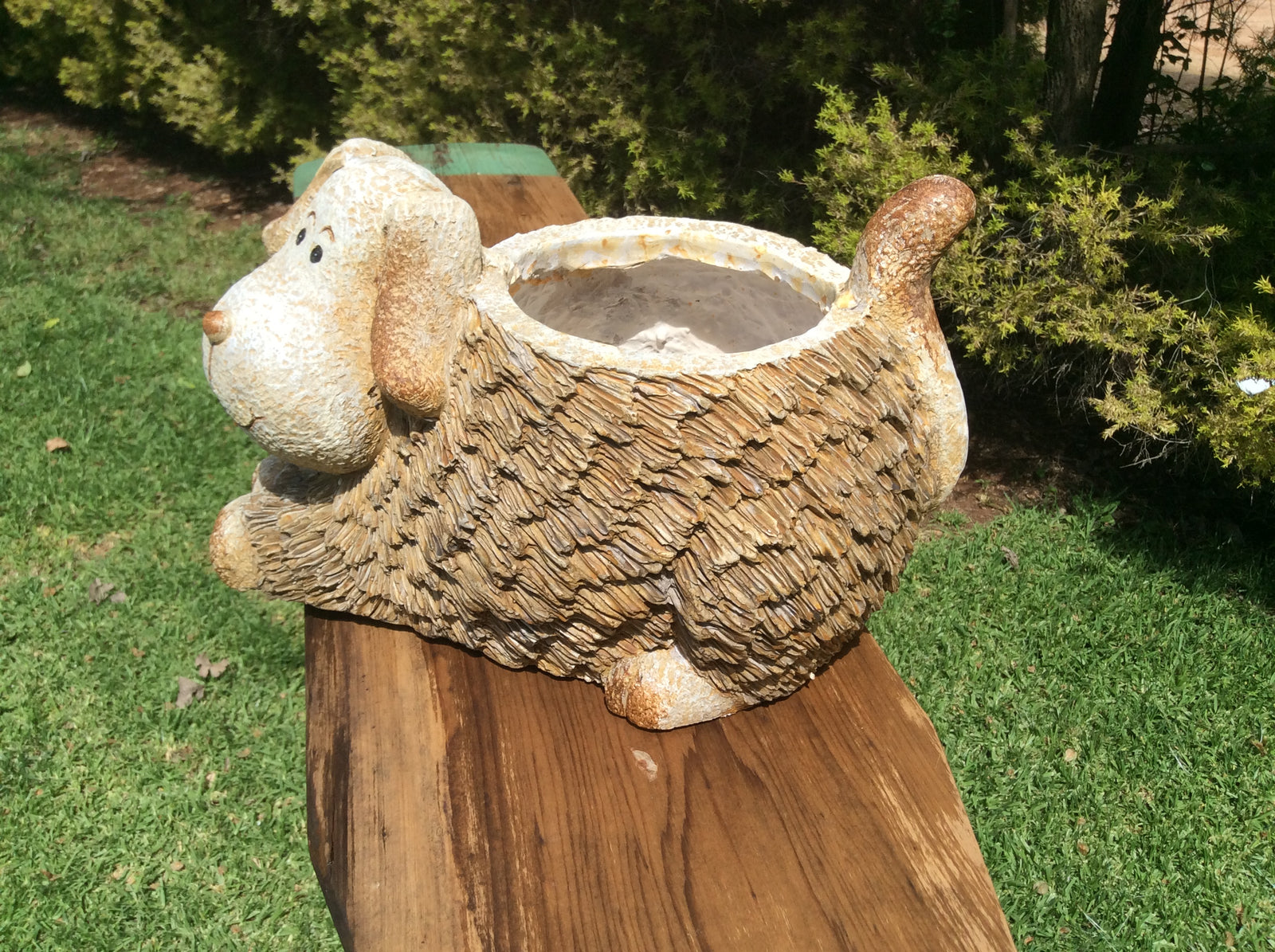  Photo 17-10-2016, 2 19 16 PM.jpg