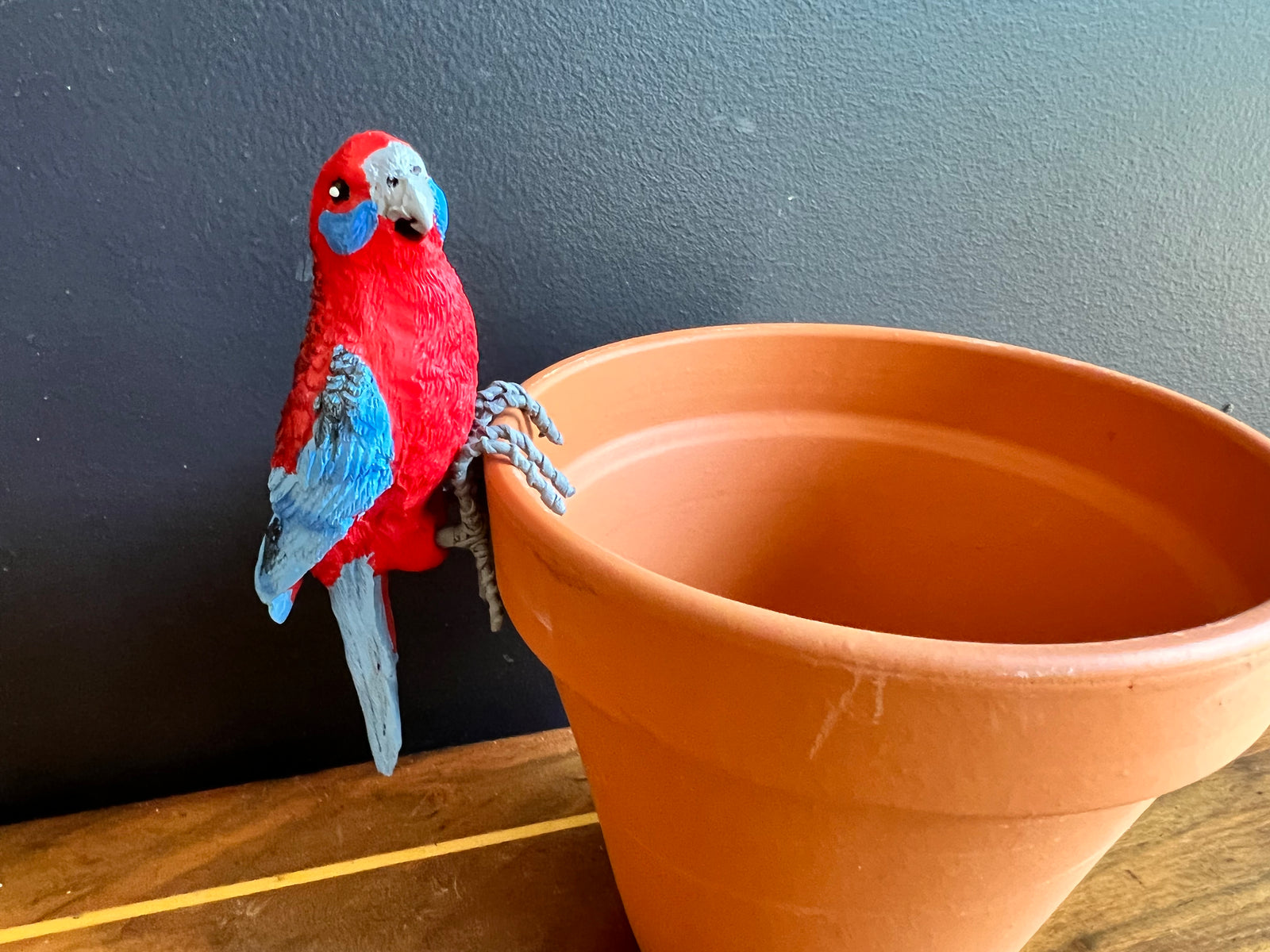  Crimson/Eastern Rosella Pot Sitter