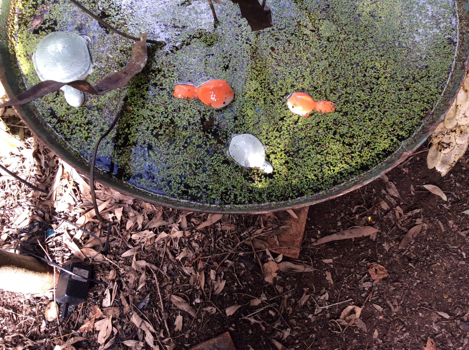  Floating Fantail -Large