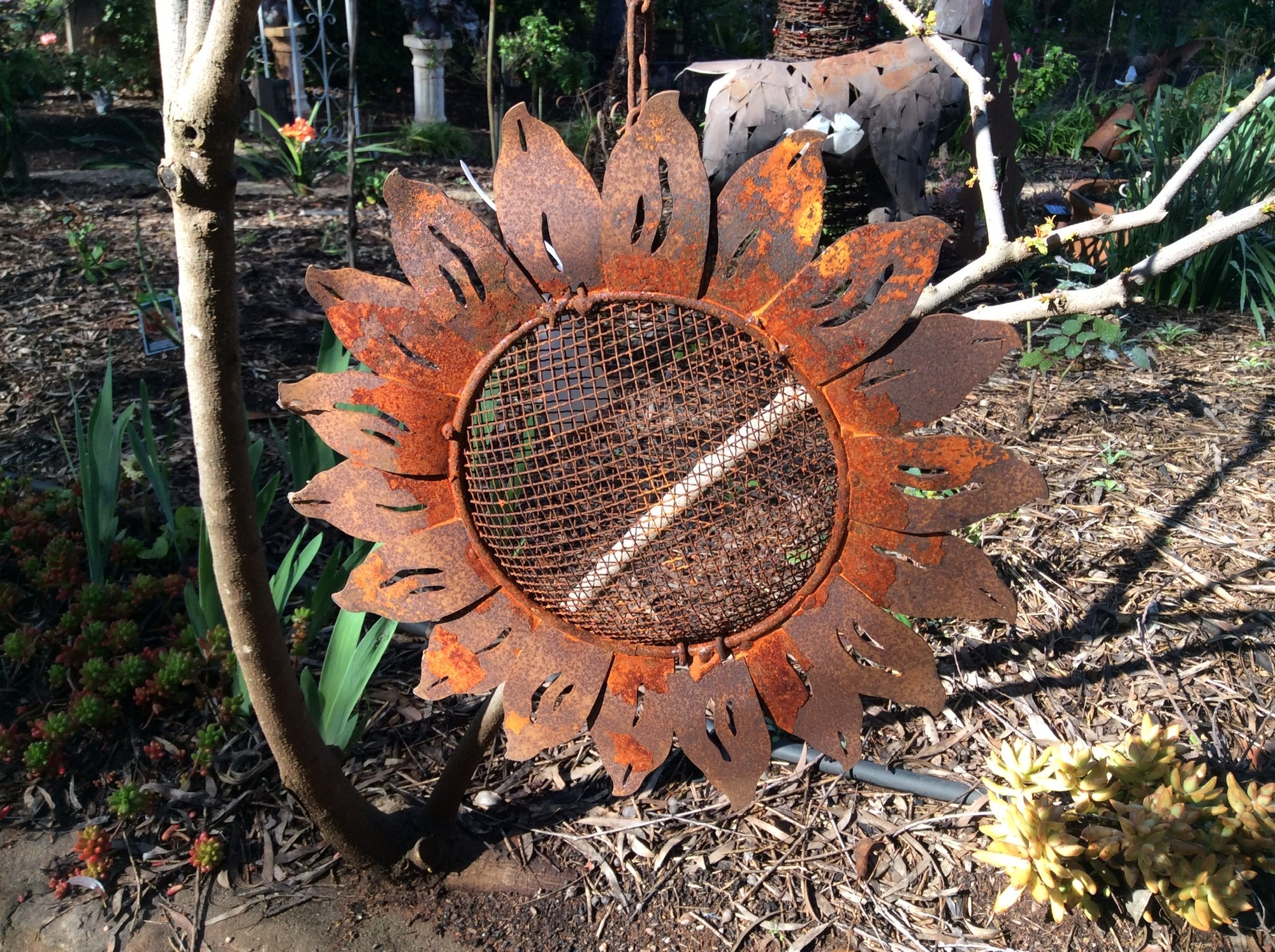   Hanging Birdfeeder - Sunflower rust