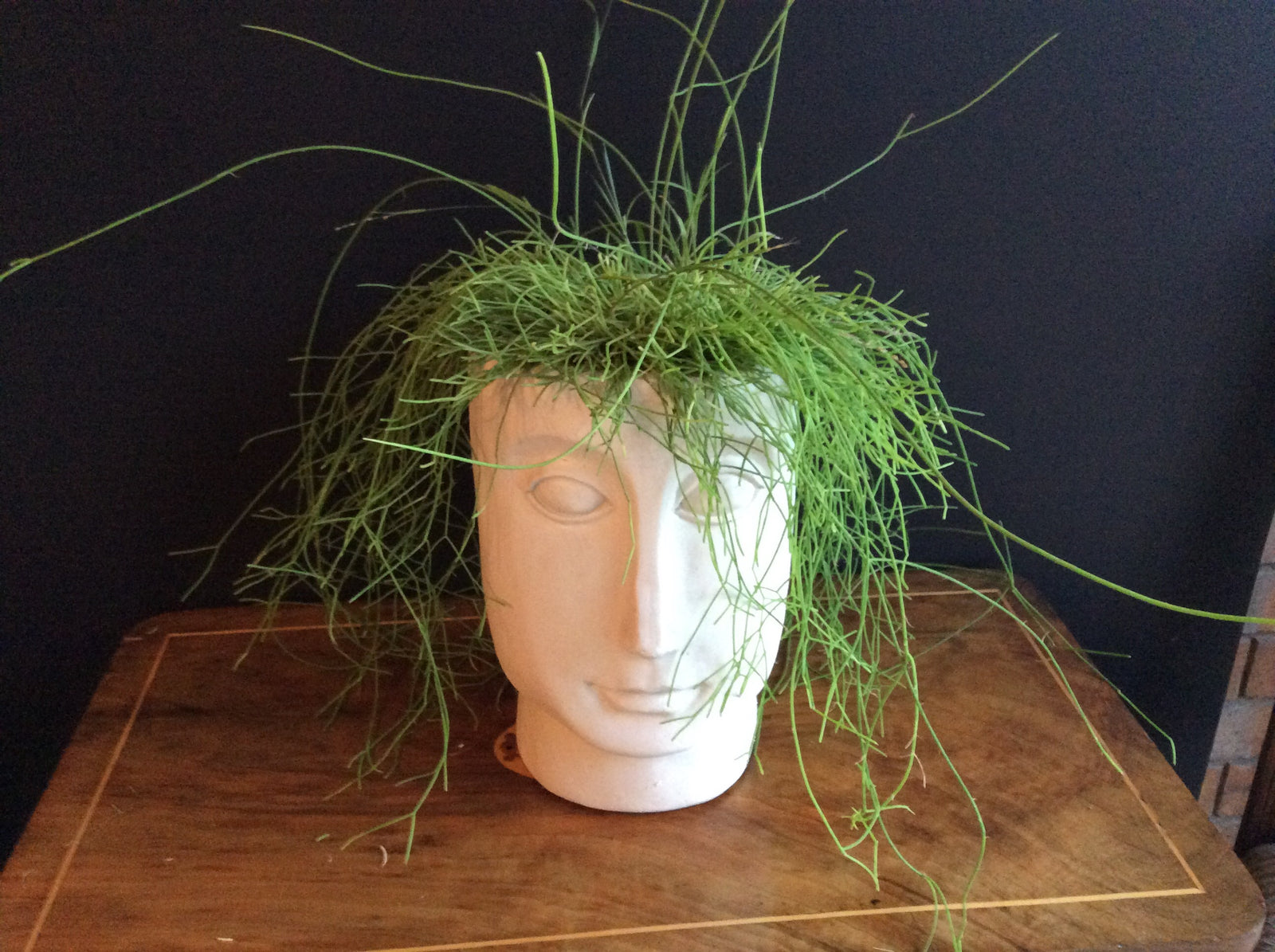  Tall Beau -Face Resin Planter