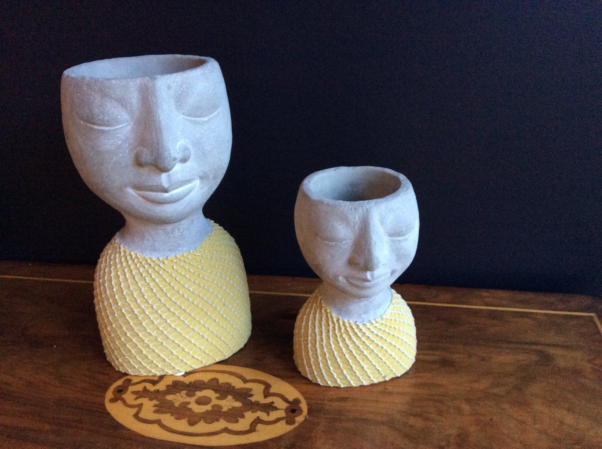   Set of 2 Head Planters with Yellow Mesh