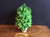  Buxus Plant Potted - Artificial
