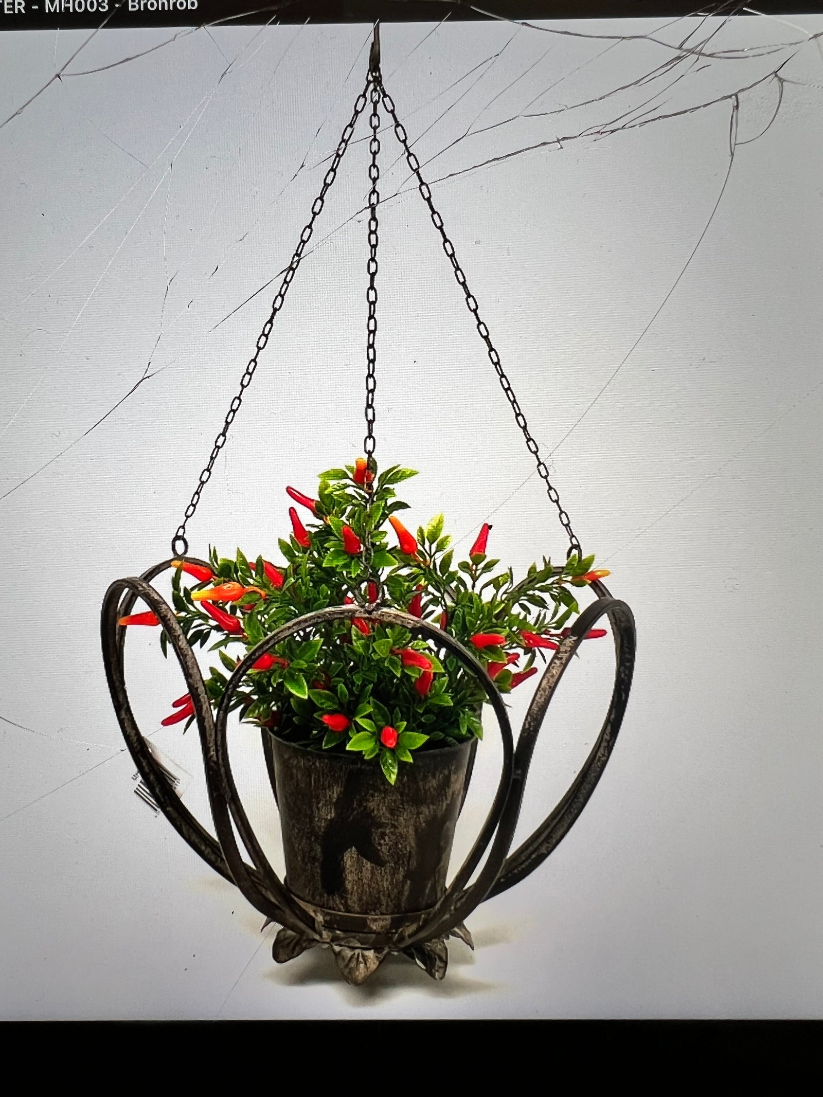  Large Metal scalloped Hanging Planter