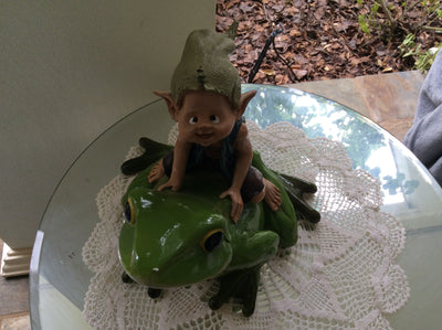  Elvin Riding Frog