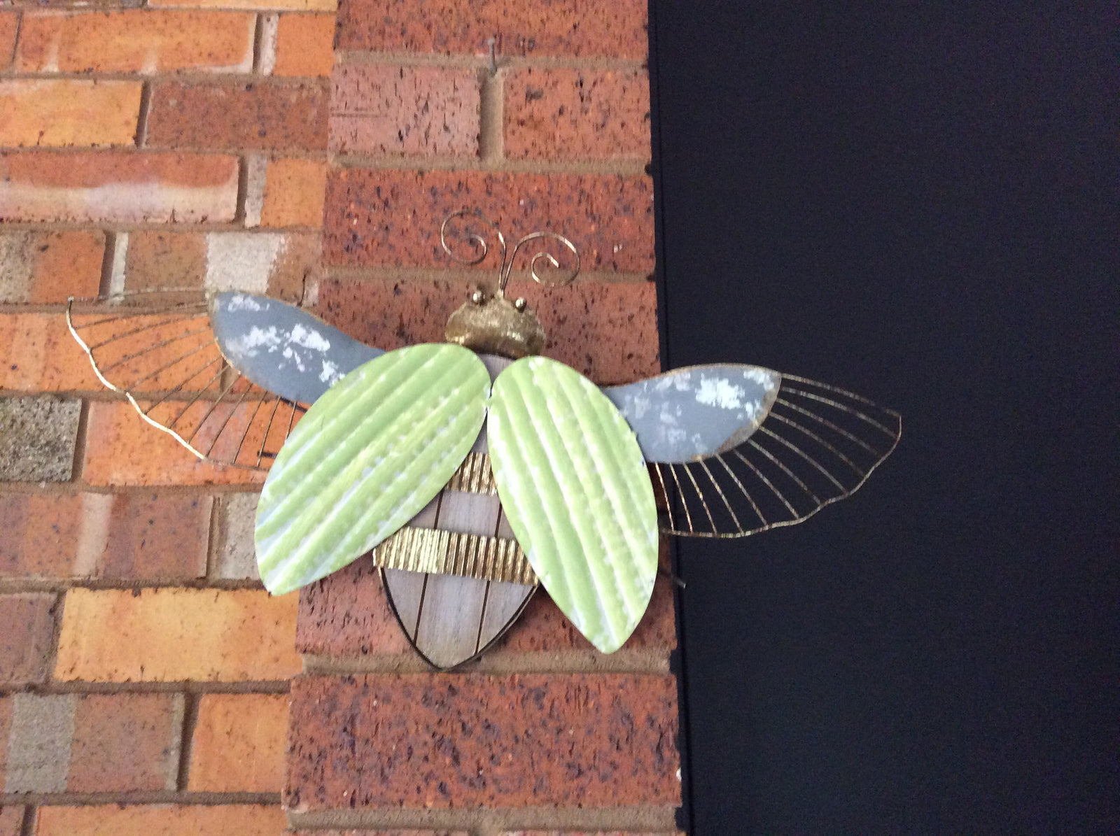  Natures Art Beetle Wall Art